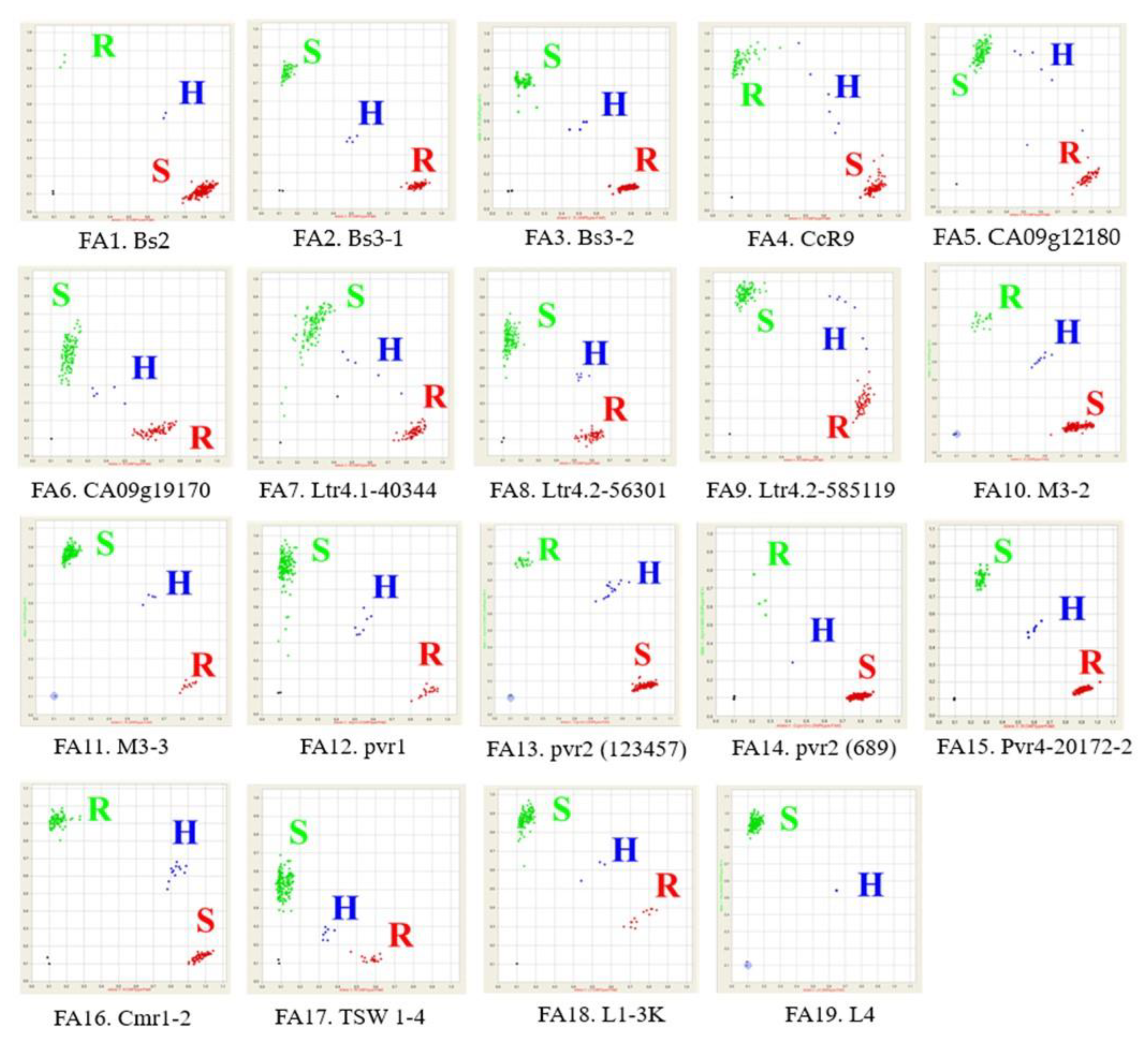Plants 13 01344 g001