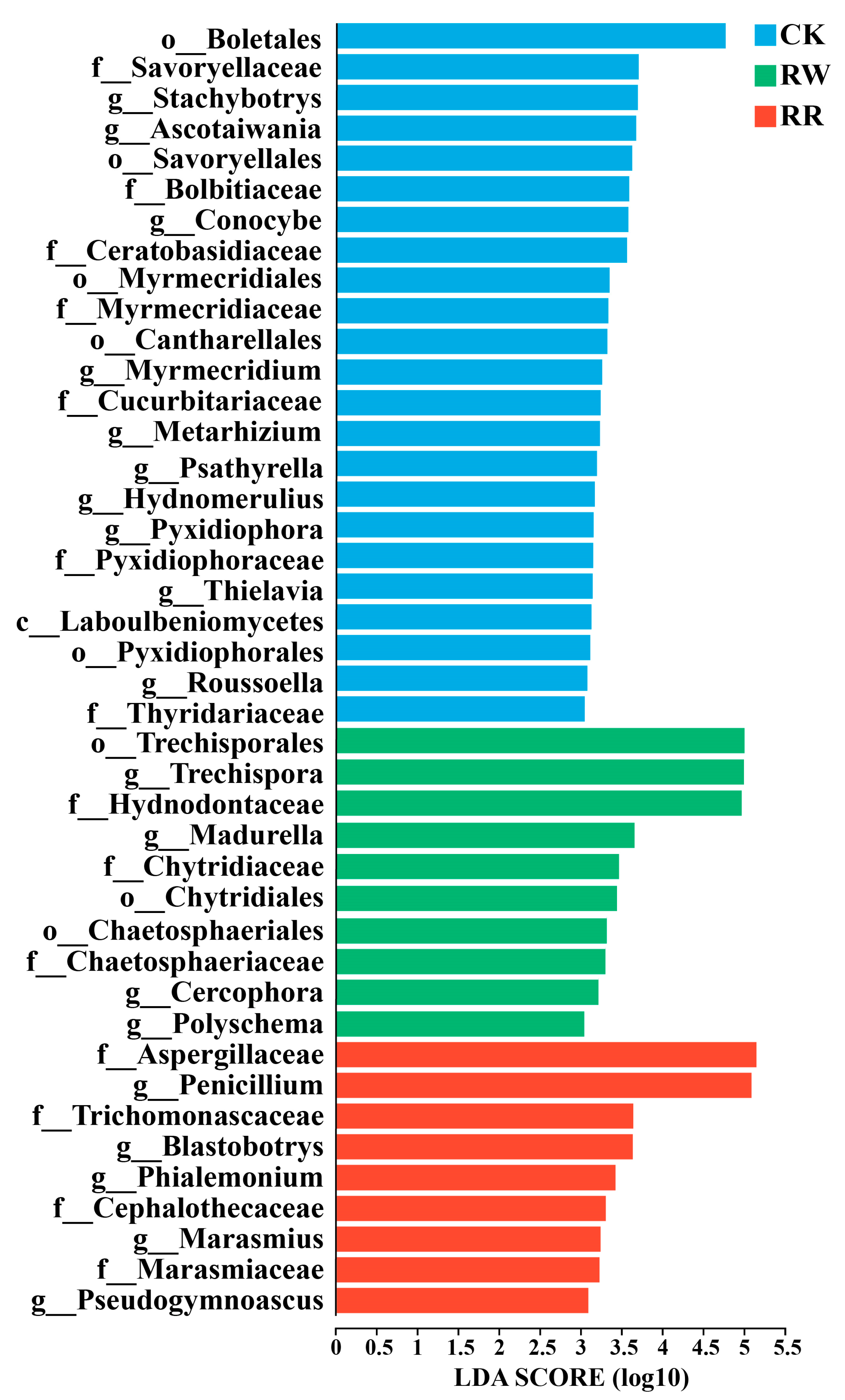 Plants 13 01346 g006
