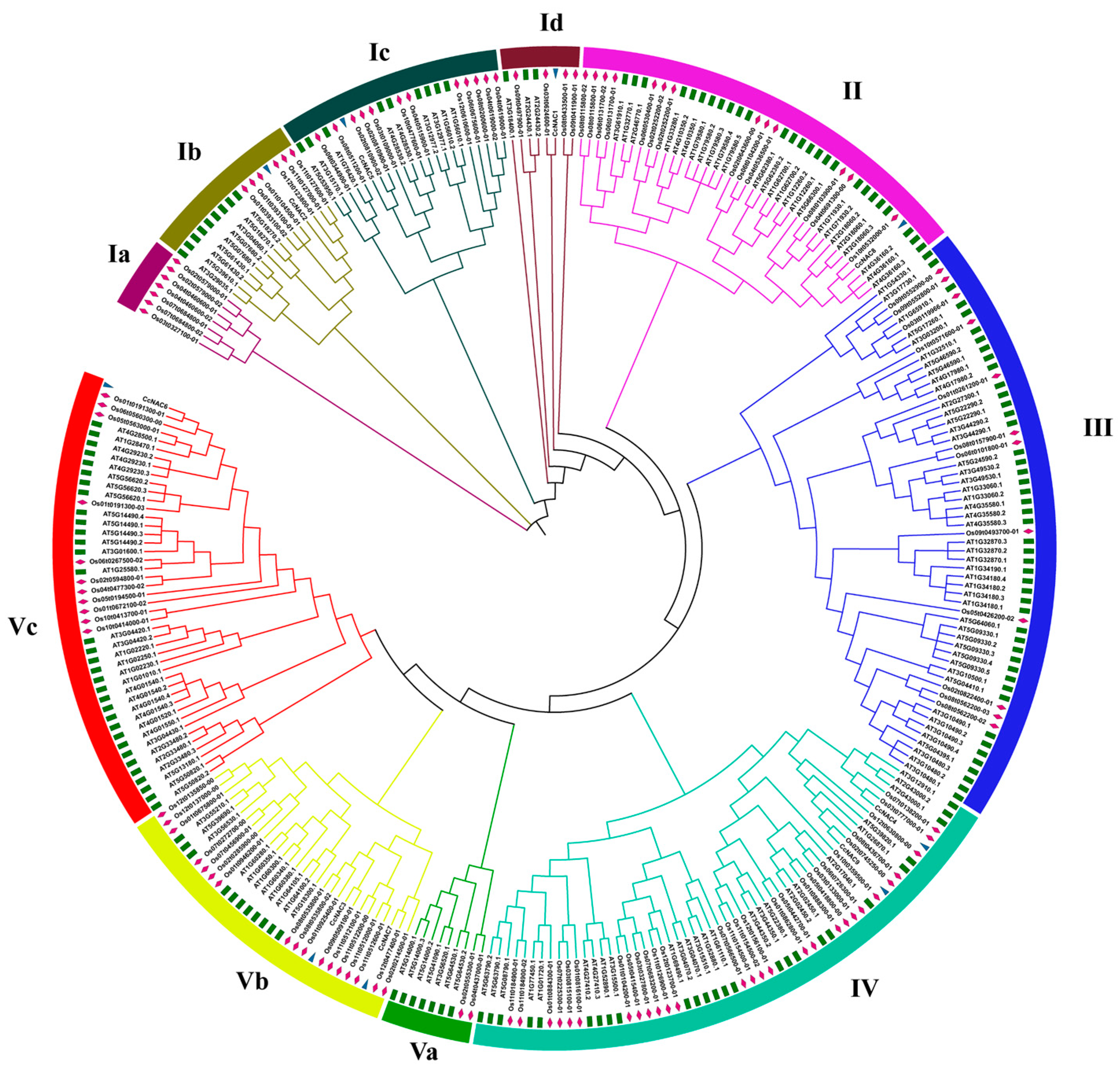 Plants 13 01352 g001
