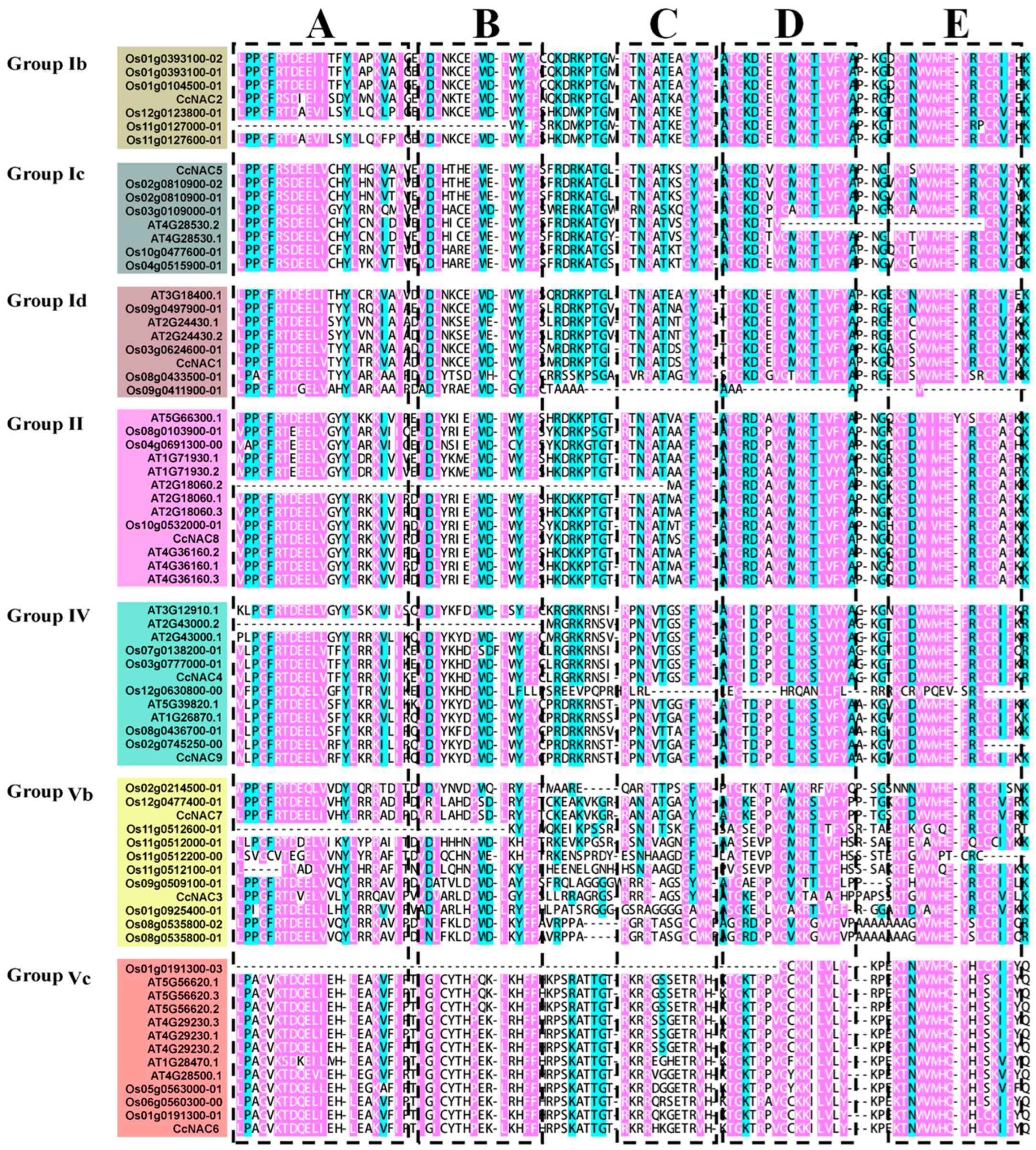 Plants 13 01352 g002