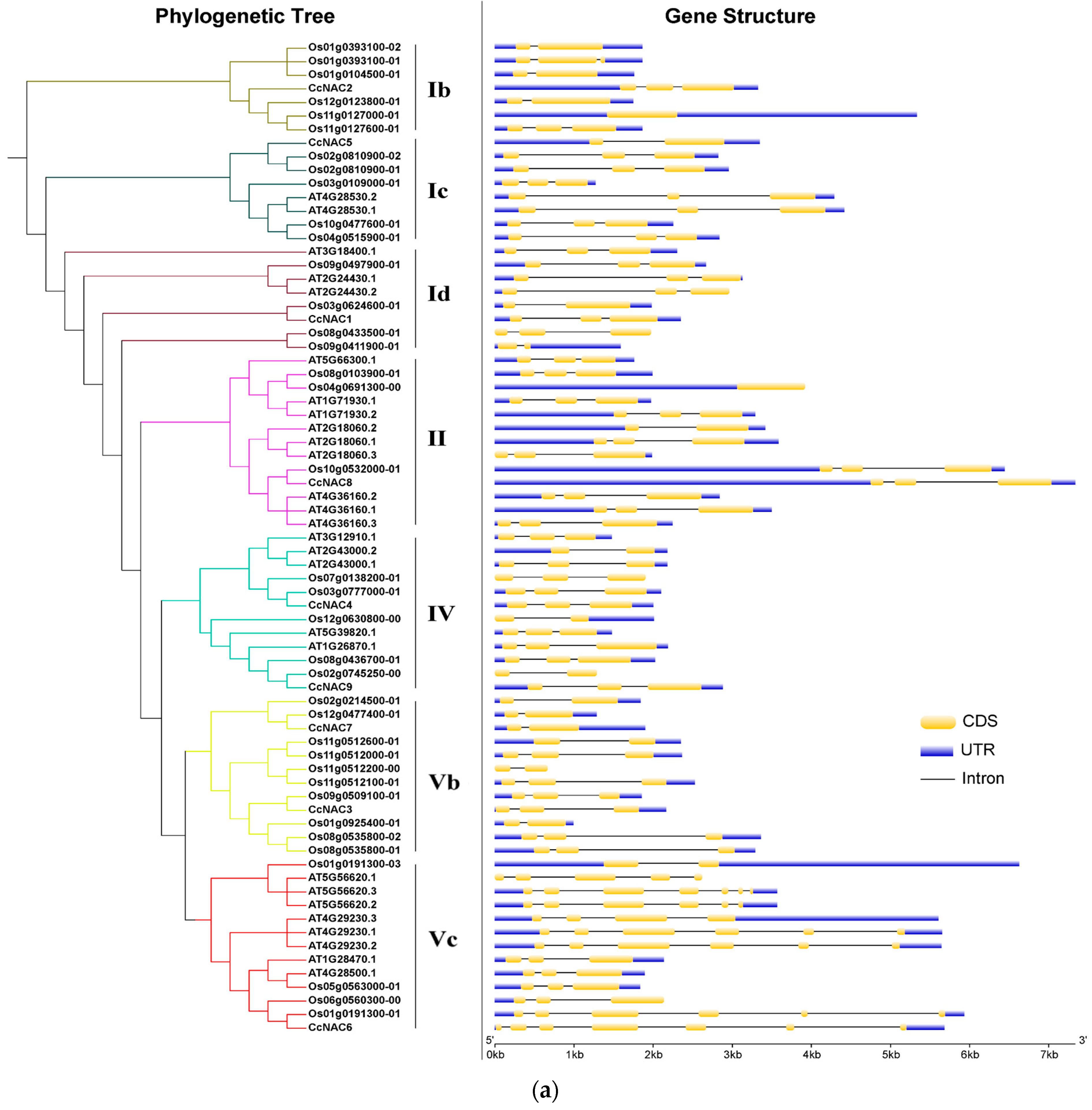 Plants 13 01352 g003a
