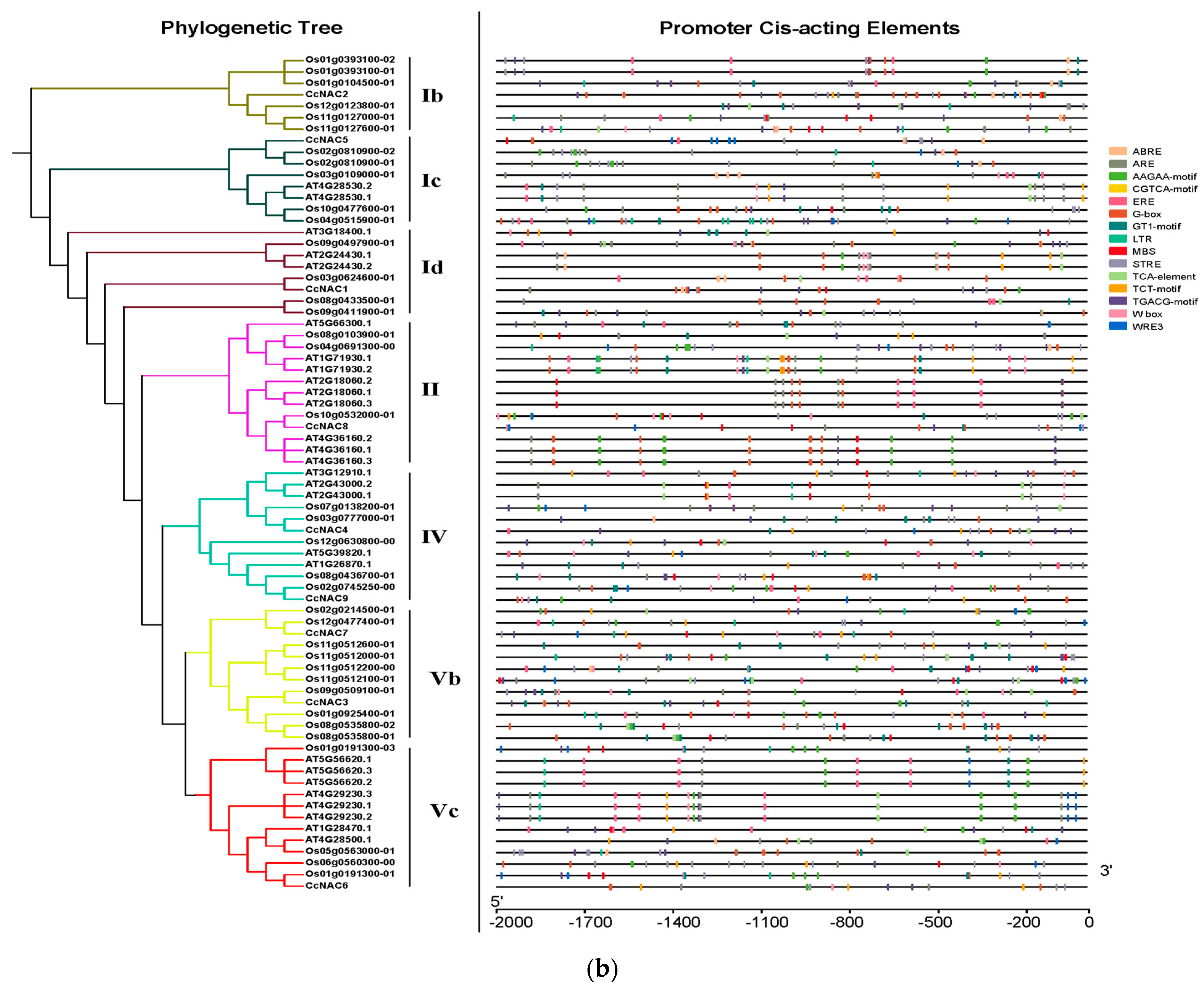 Plants 13 01352 g003b