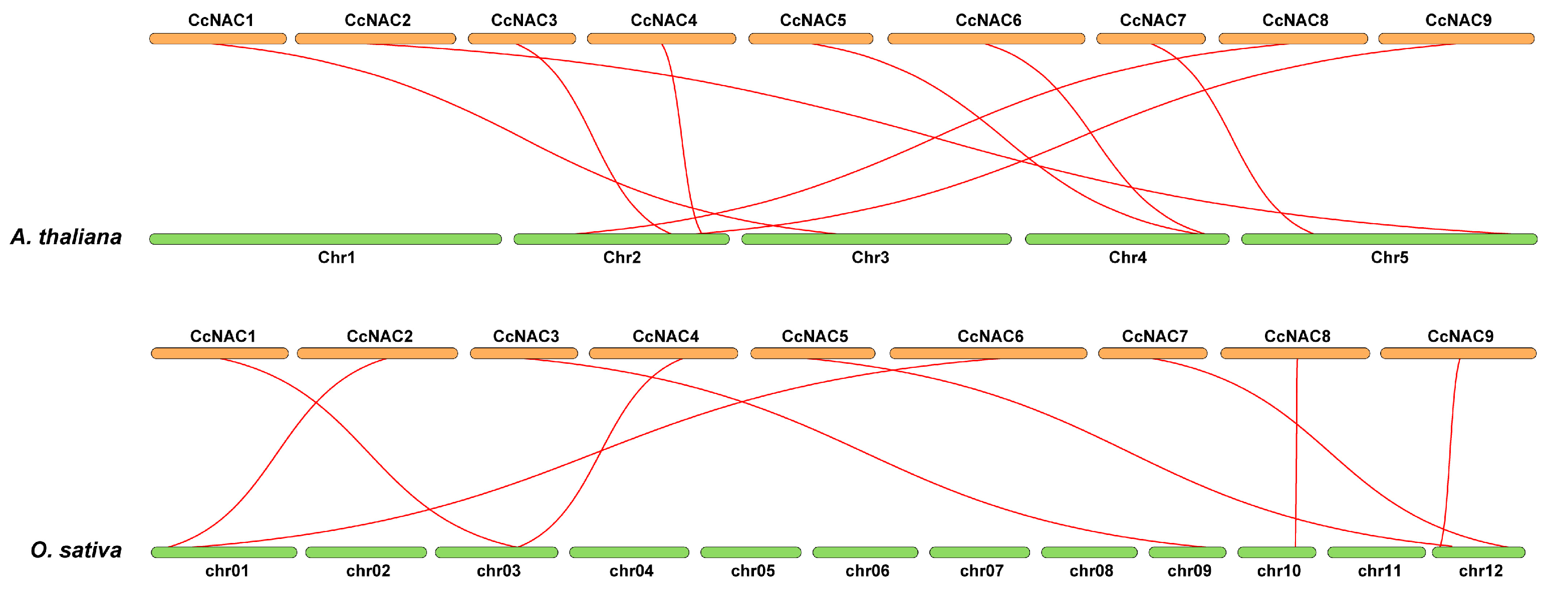 Plants 13 01352 g004