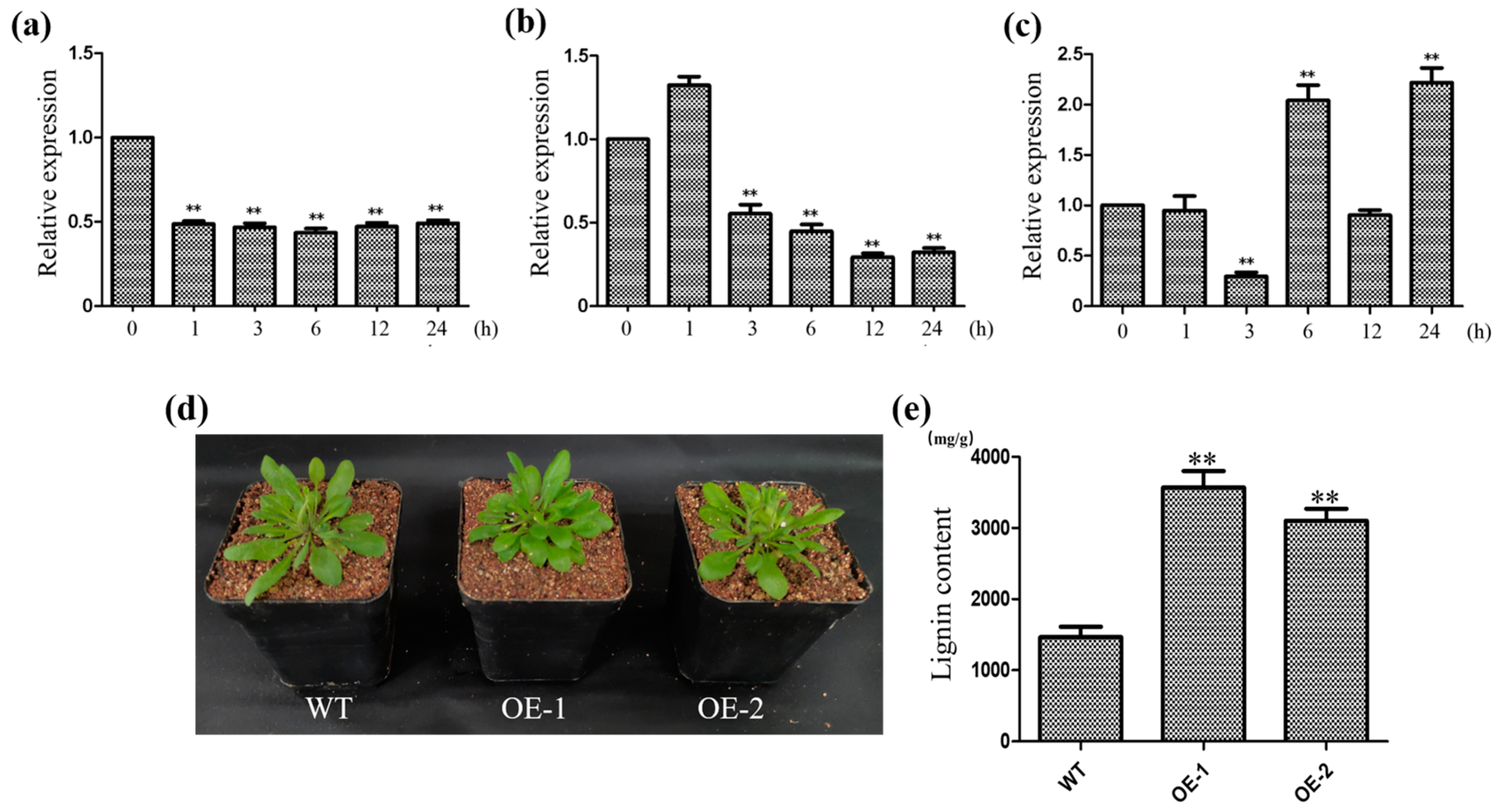 Plants 13 01352 g005