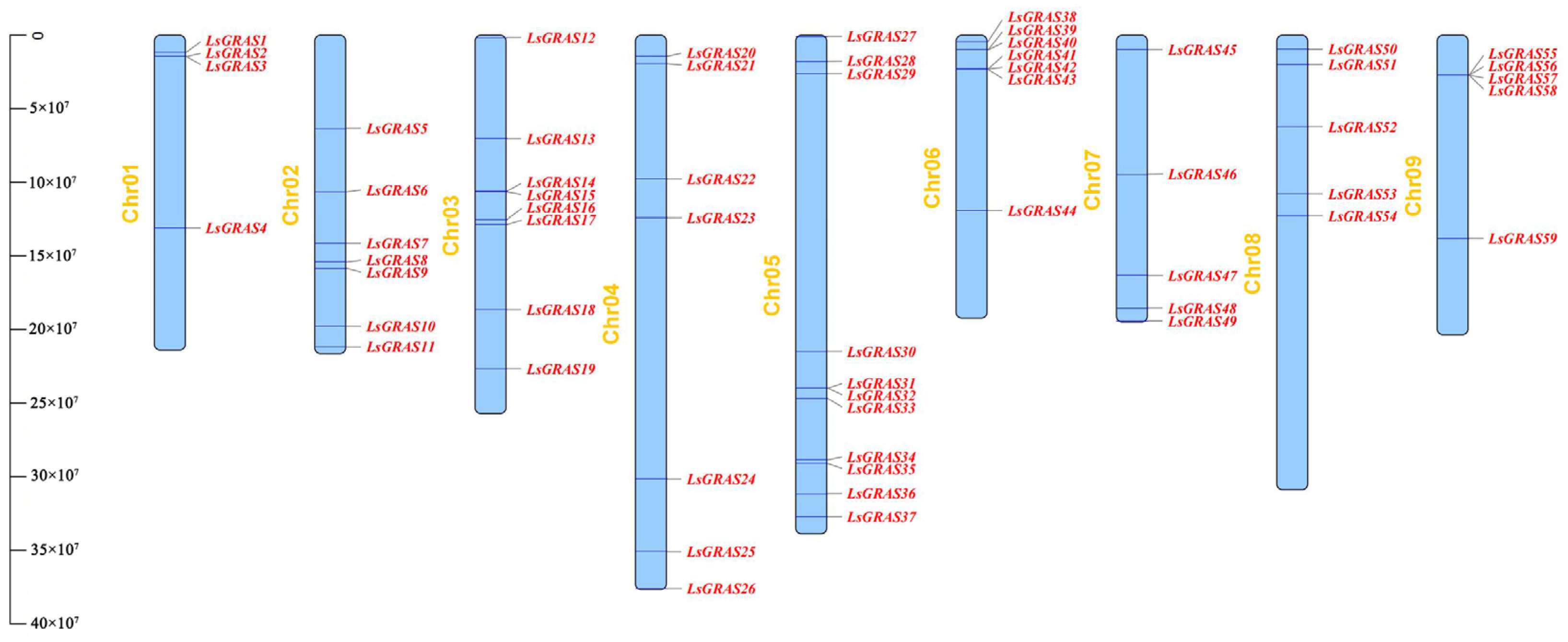 Plants 13 01360 g001