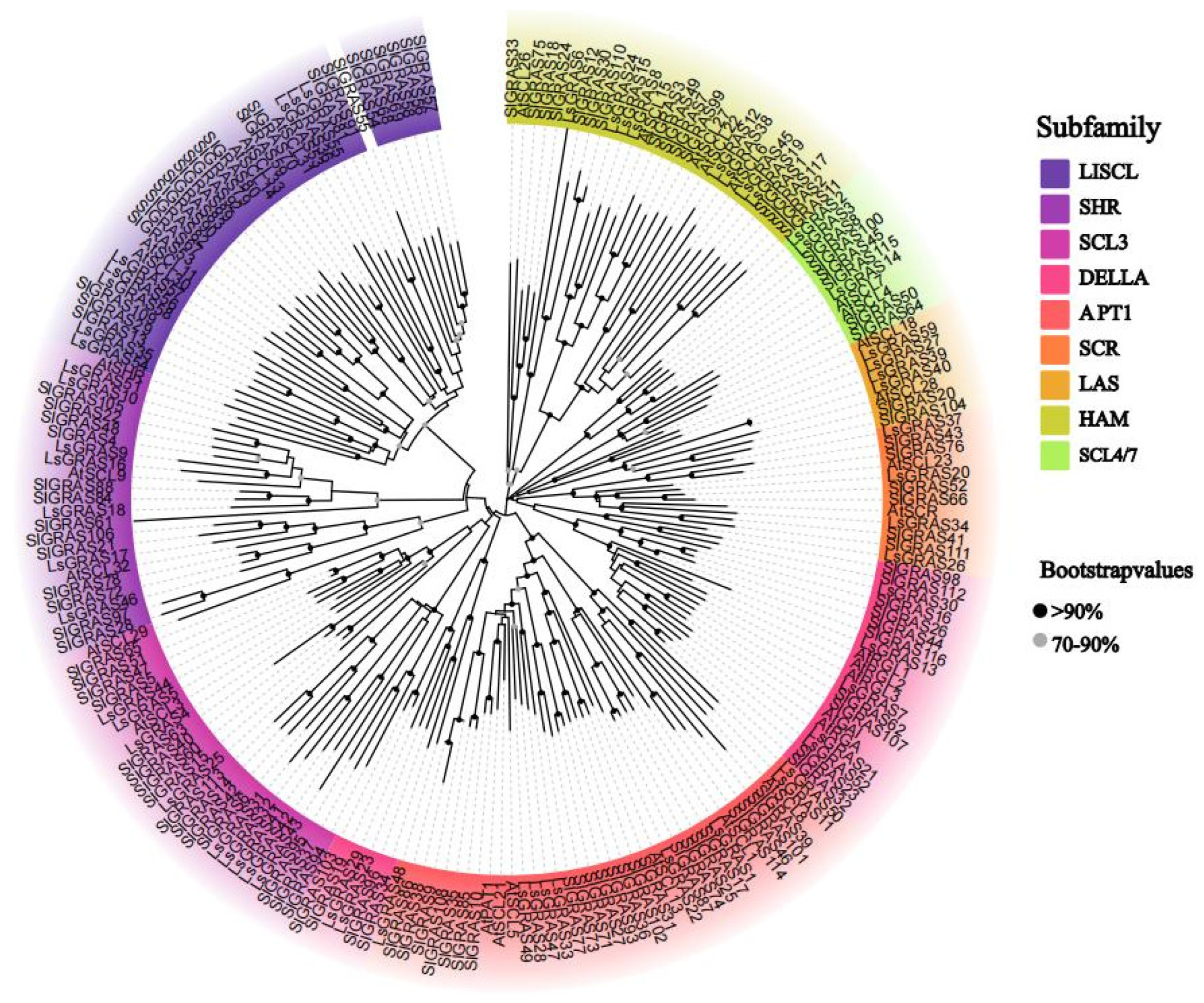 Plants 13 01360 g002