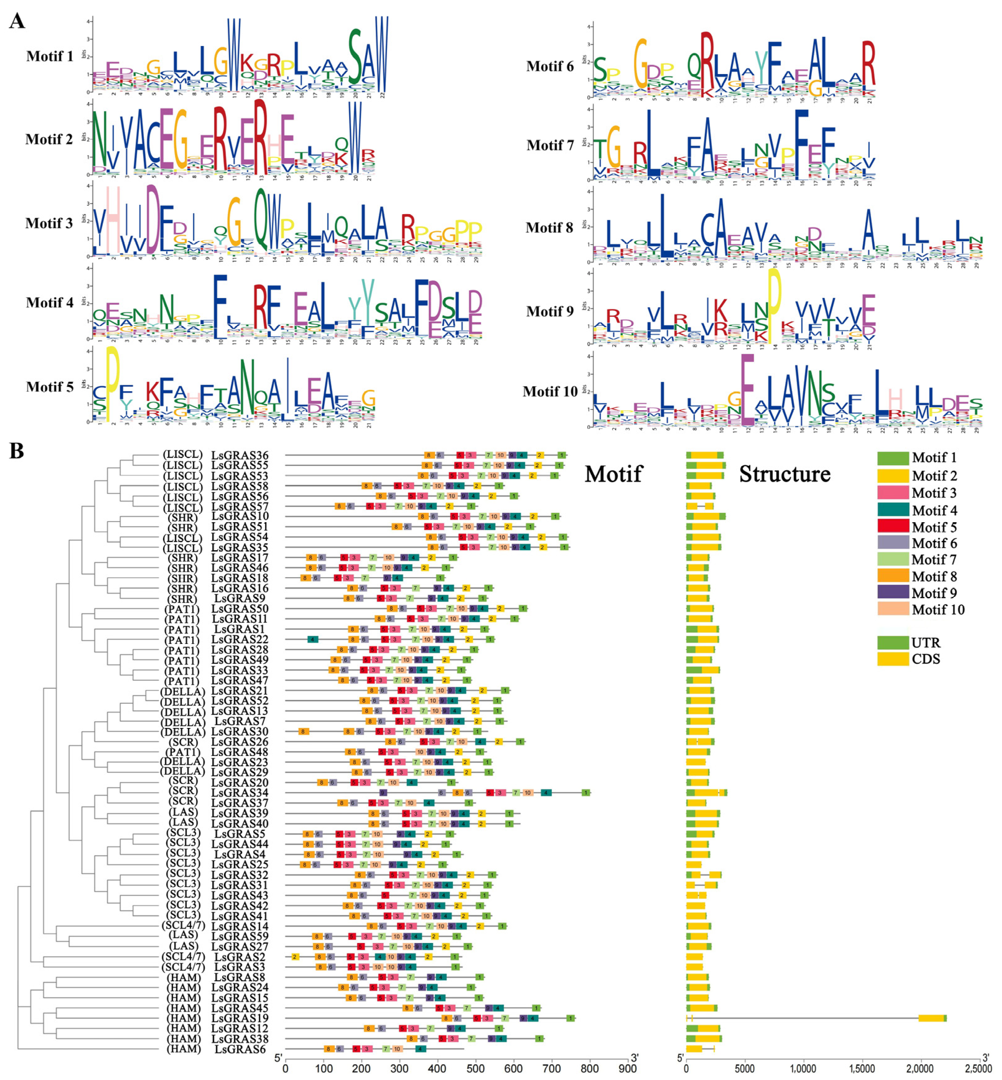 Plants 13 01360 g003