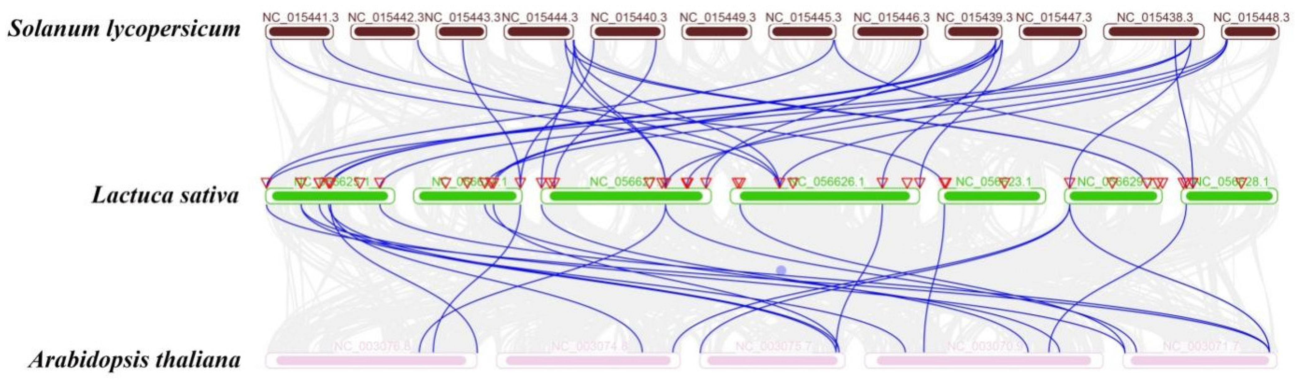 Plants 13 01360 g004