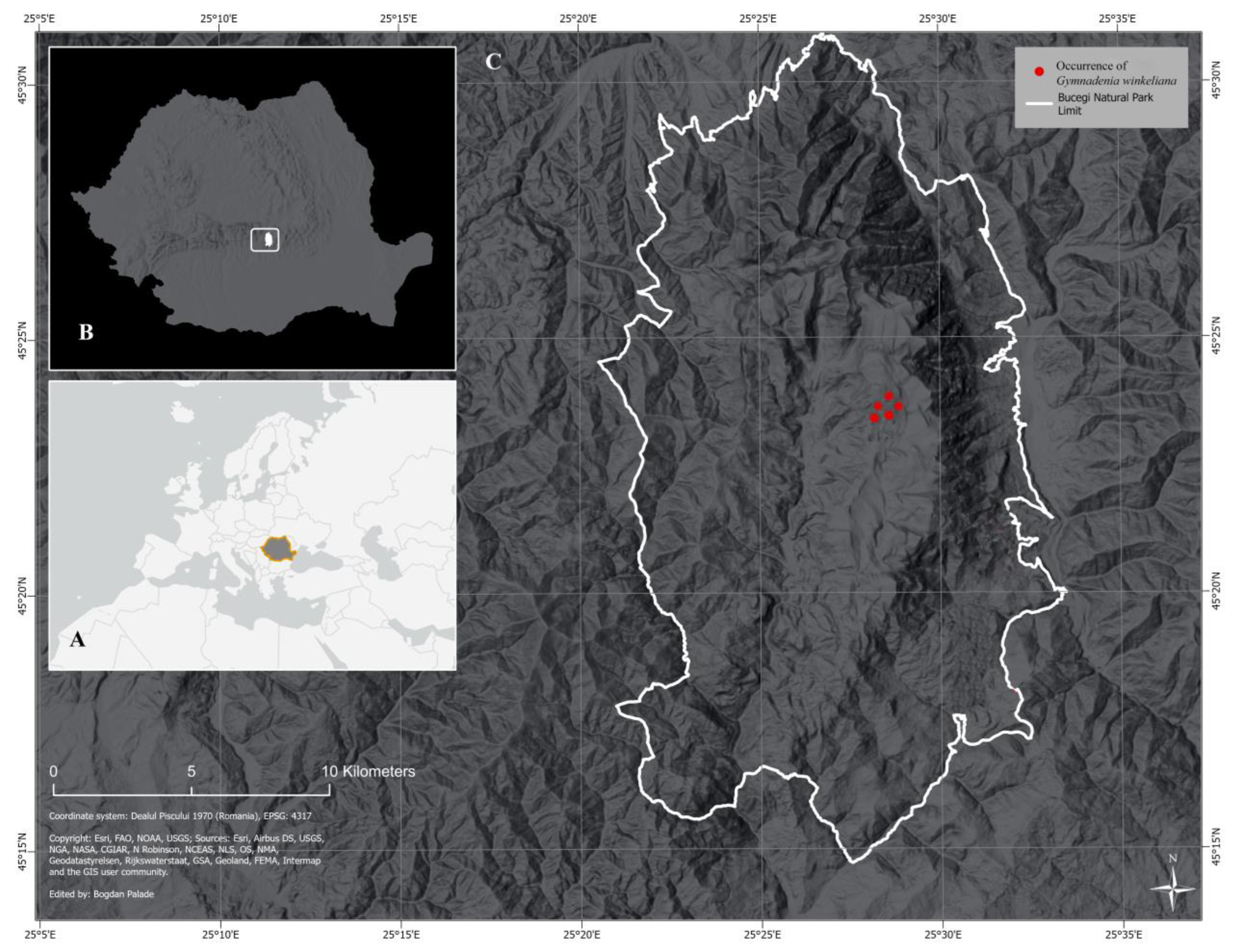 Plants 13 01363 g001