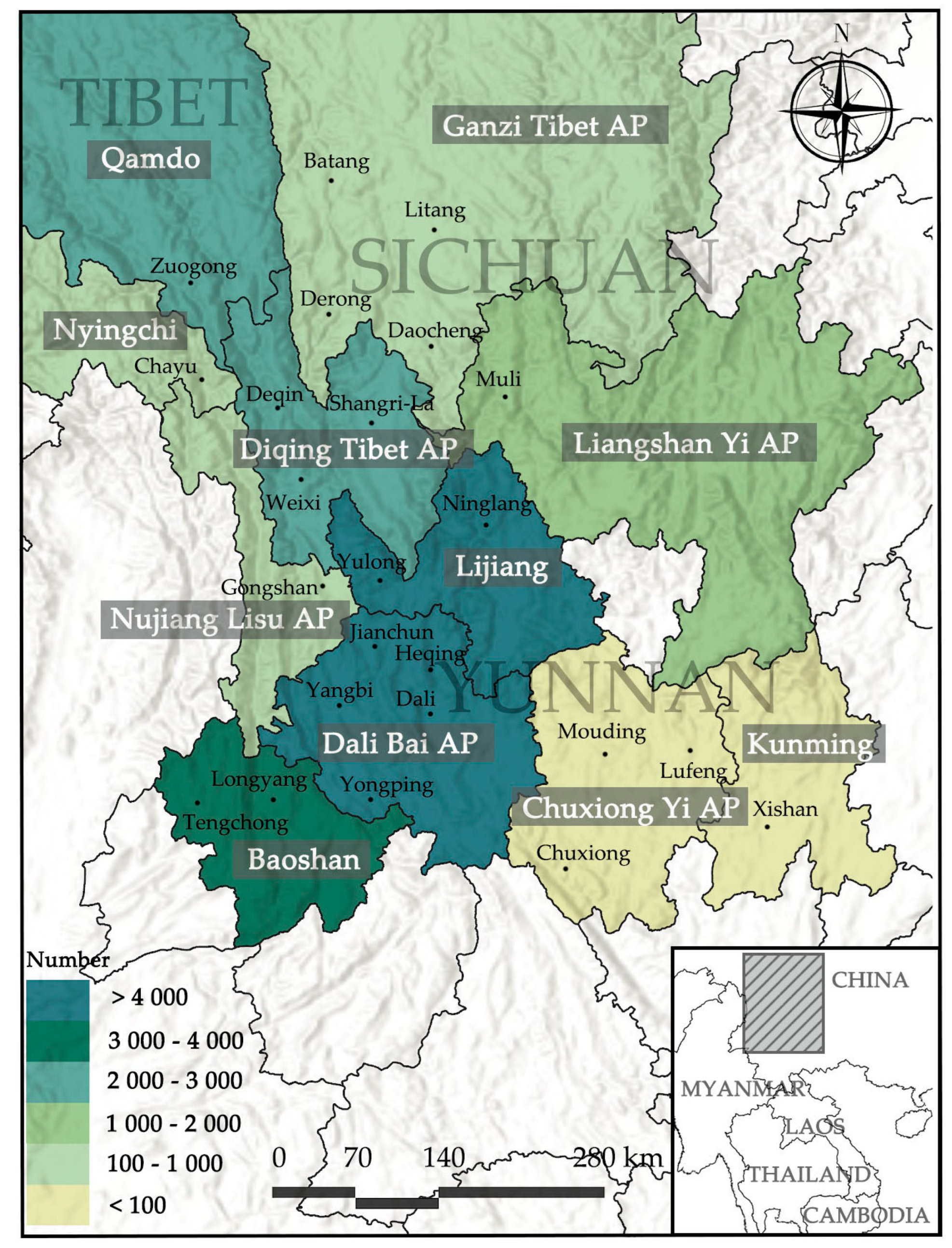 Plants 13 01367 g001