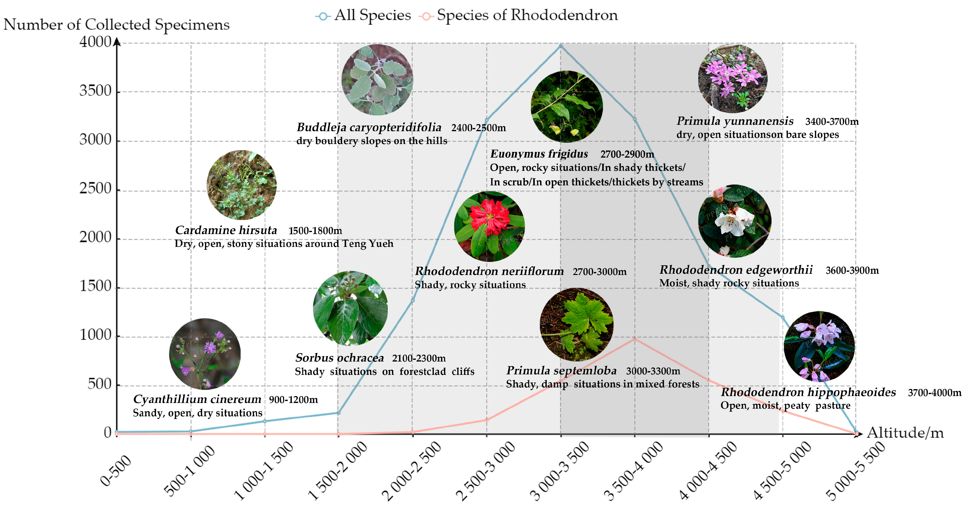 Plants 13 01367 g006