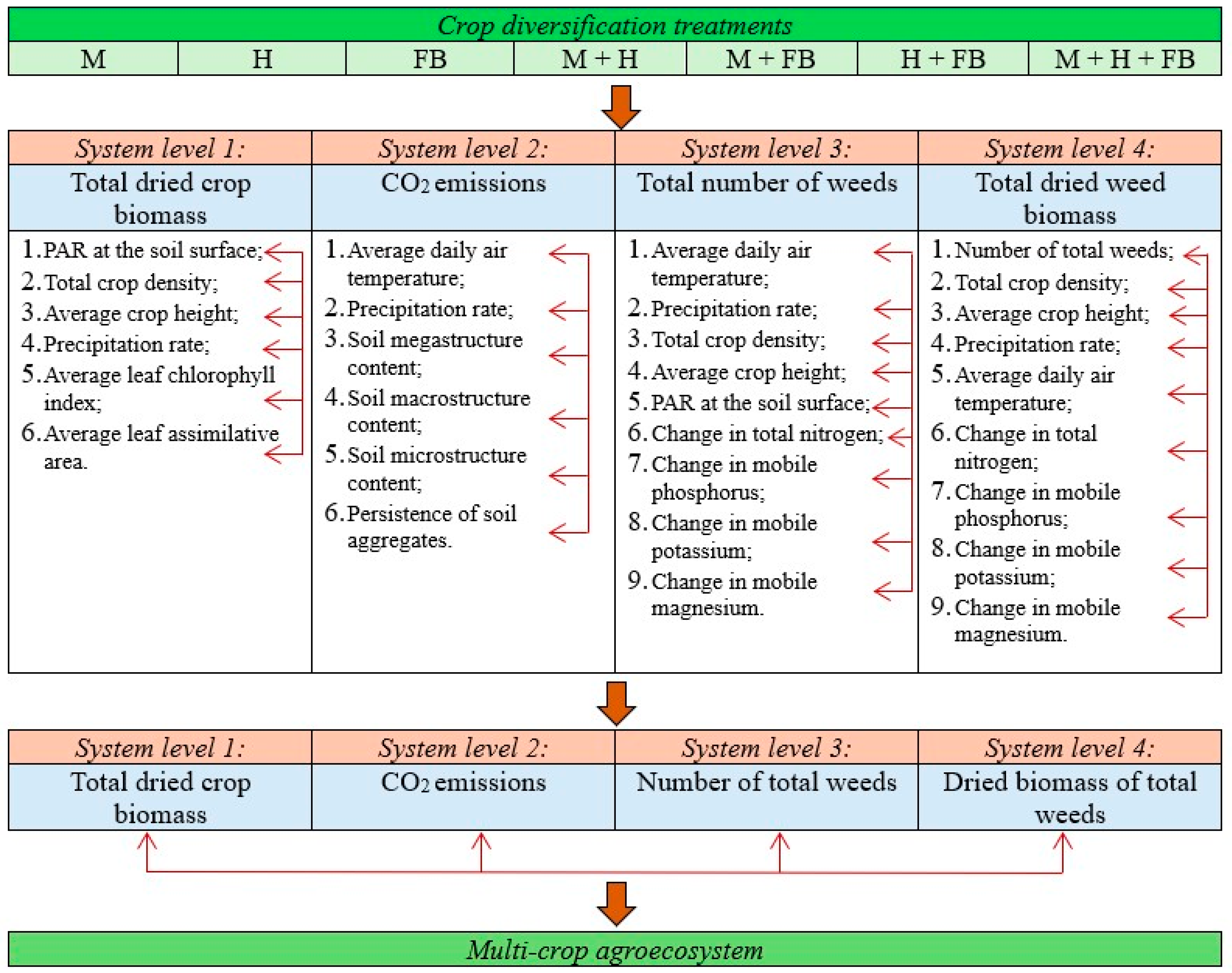 Plants 13 01372 g001