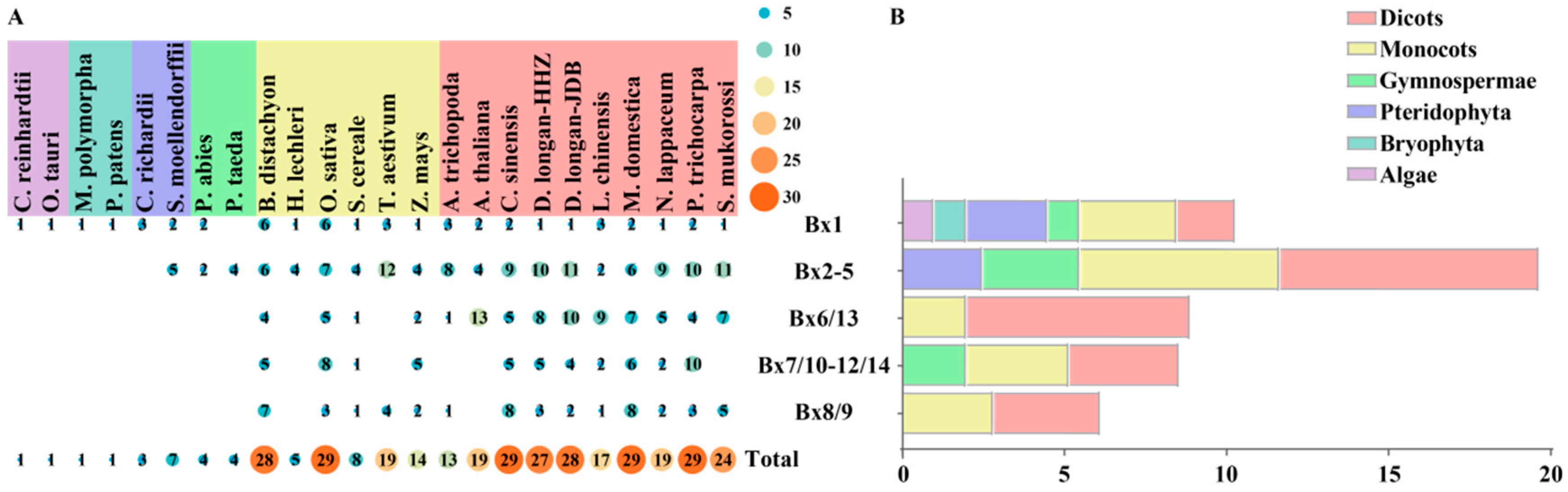 Plants 13 01373 g001