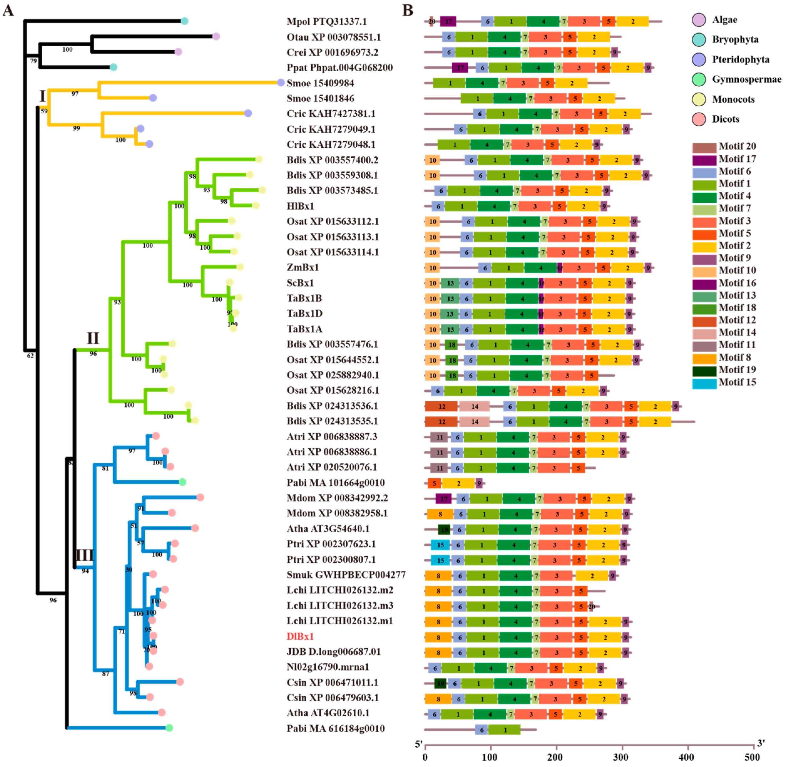 Plants 13 01373 g002