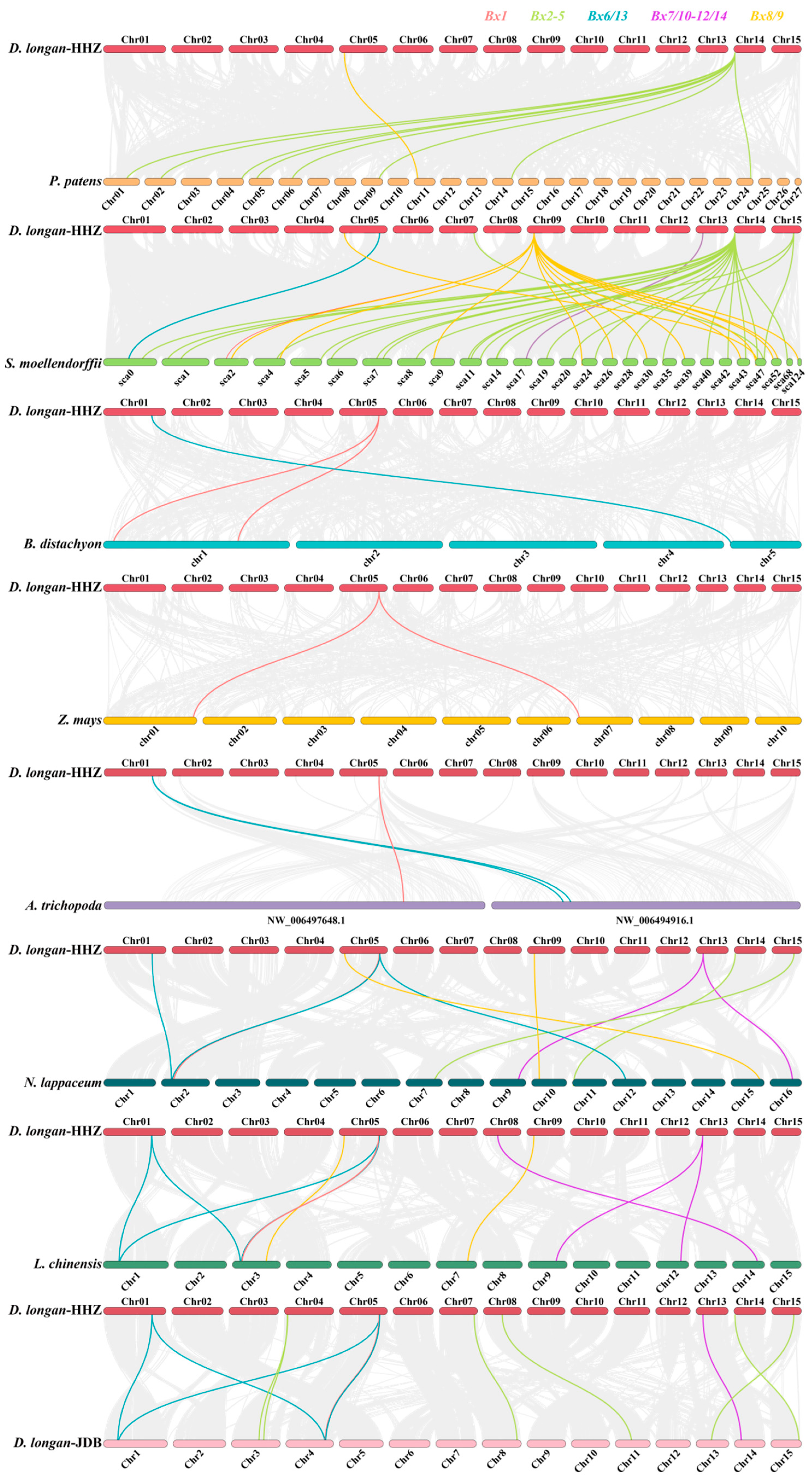 Plants 13 01373 g004
