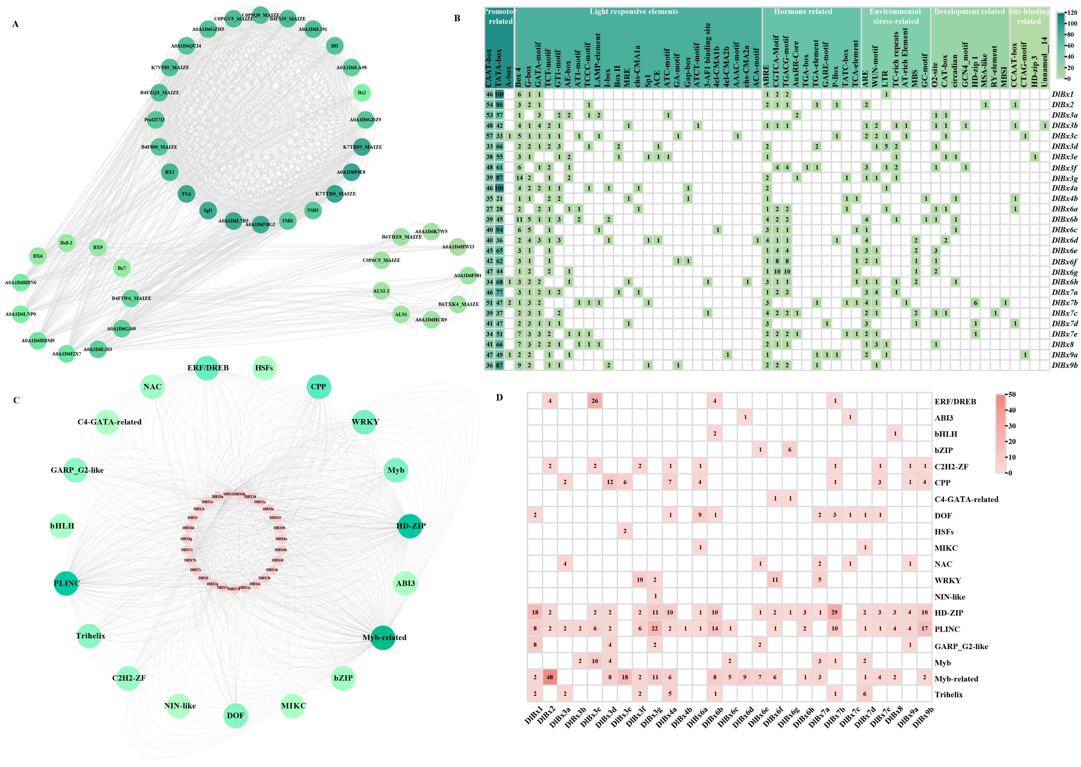 Plants 13 01373 g005