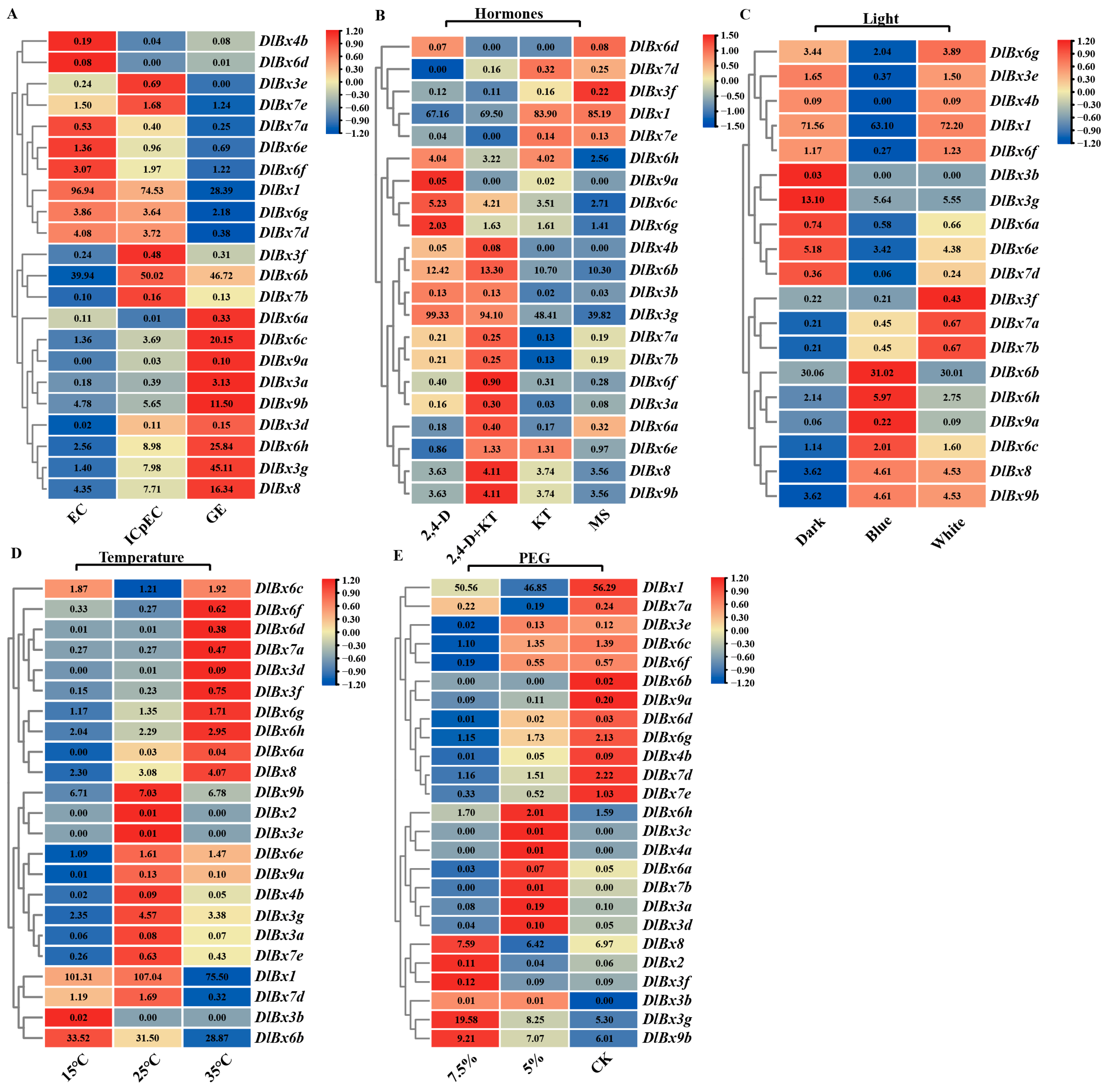 Plants 13 01373 g006