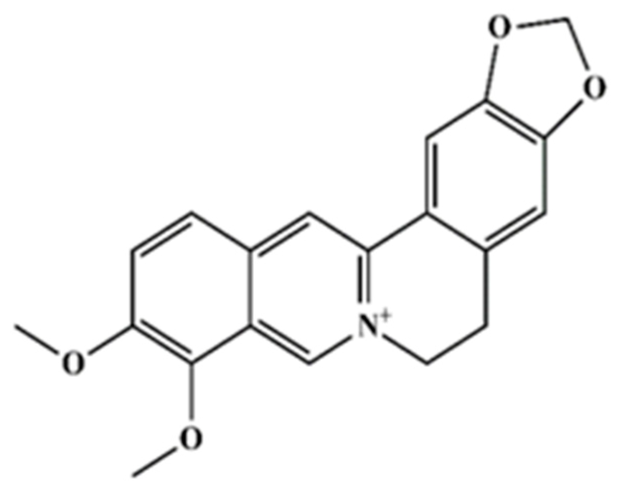 Plants 13 01374 g001