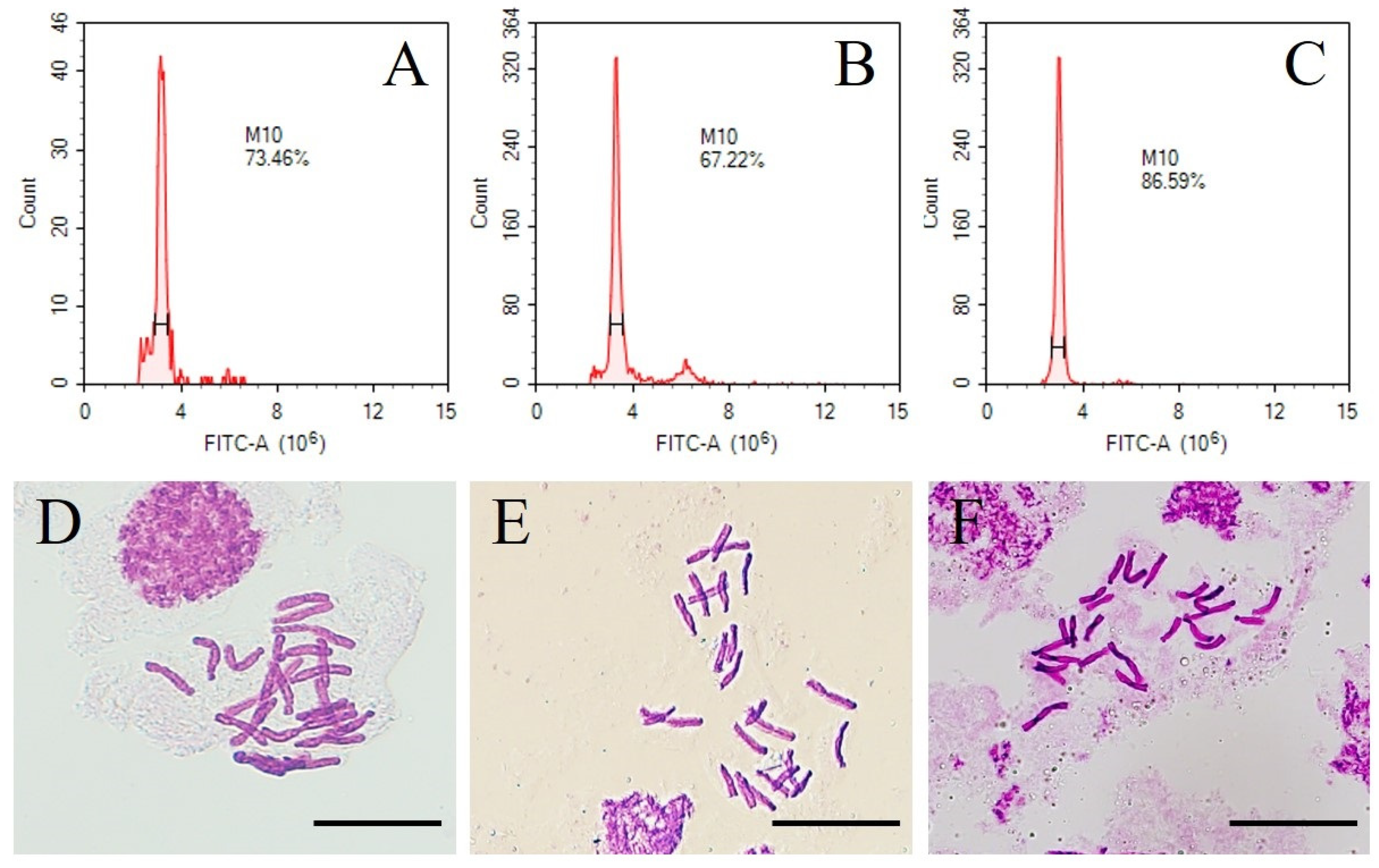 Plants 13 01376 g006