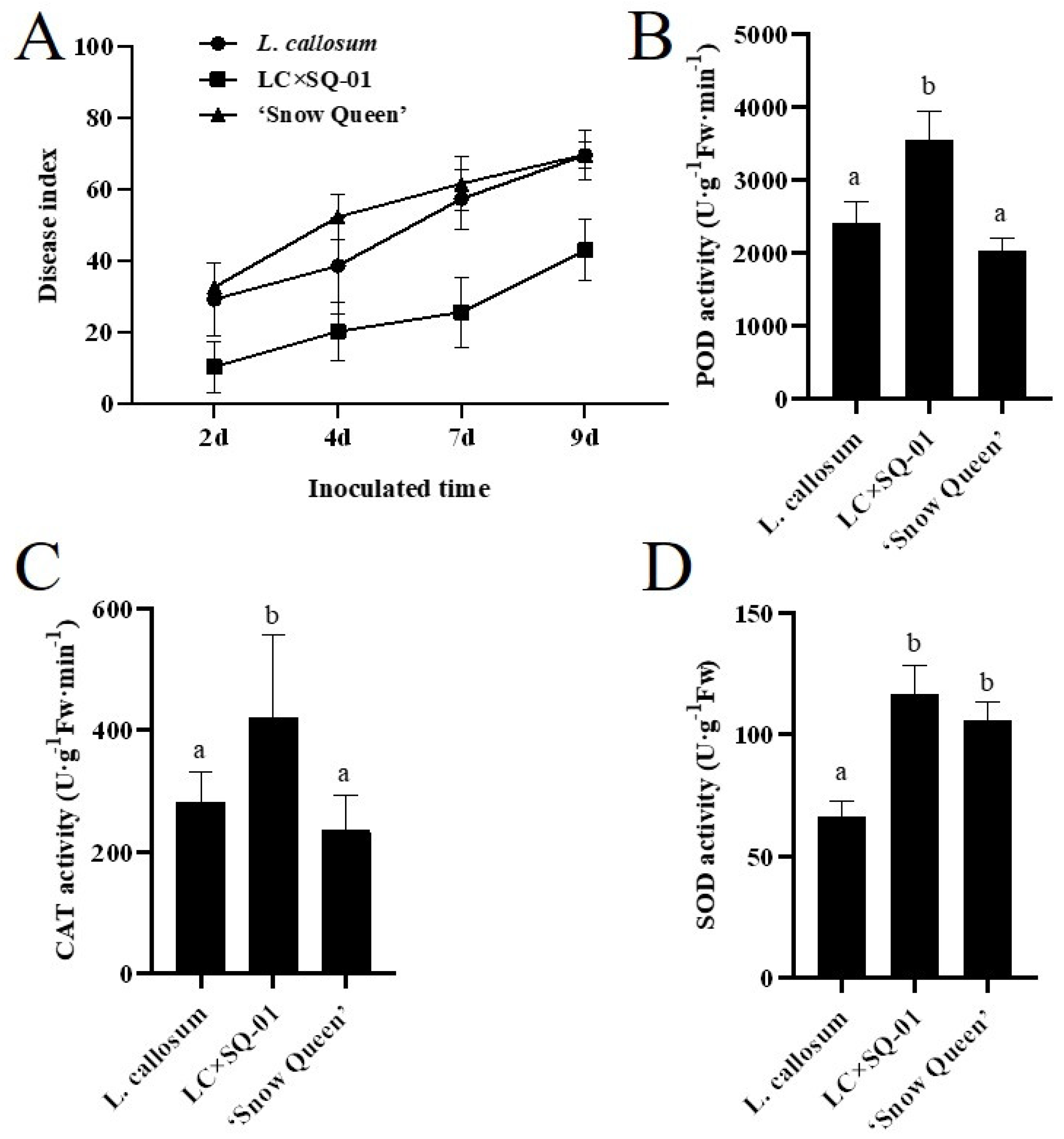 Plants 13 01376 g007