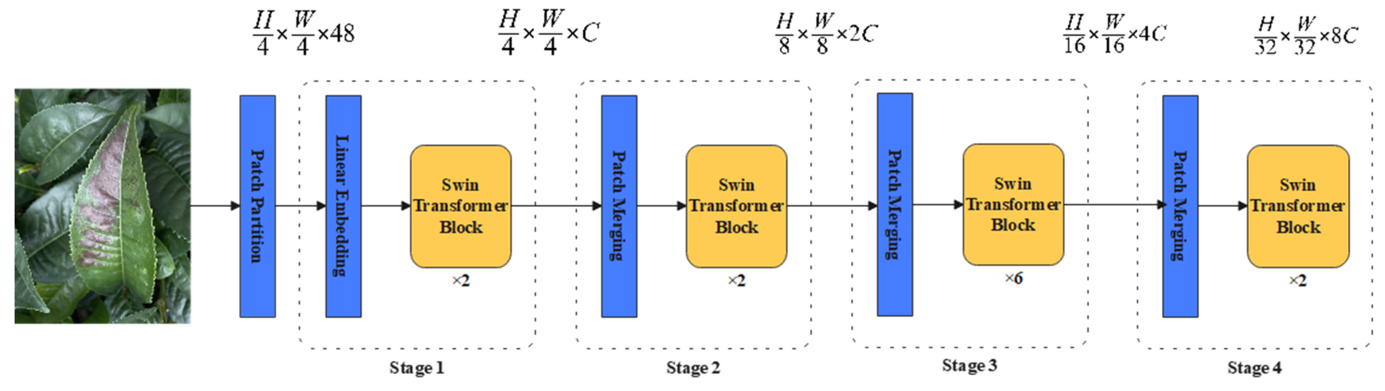Plants 13 01377 g002