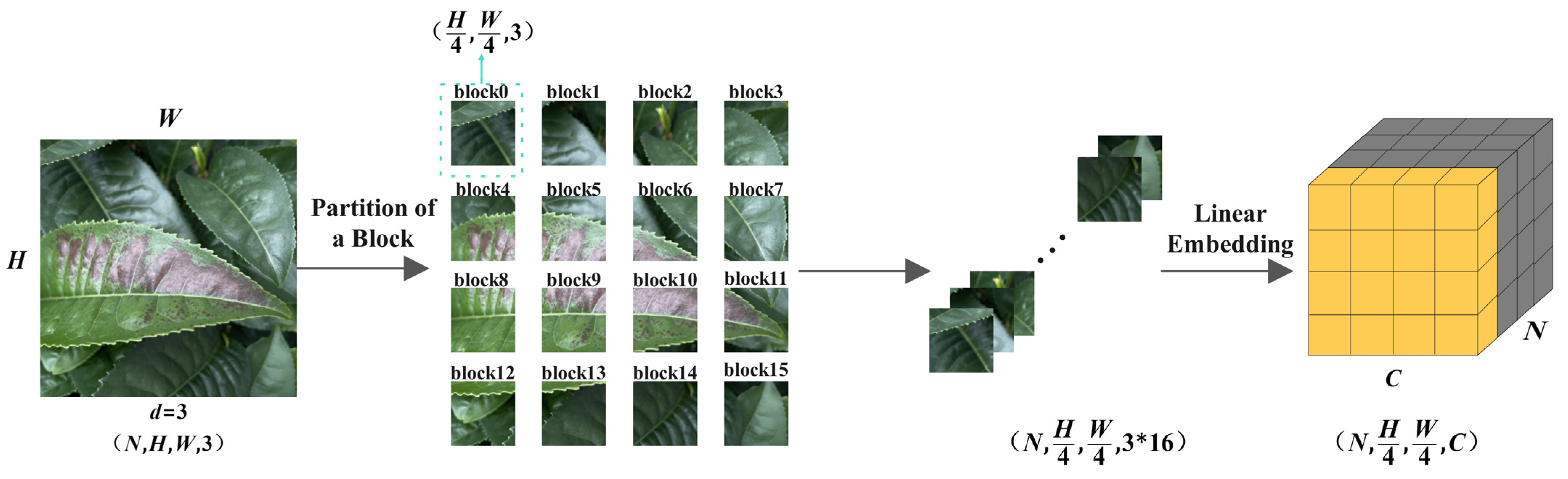Plants 13 01377 g003