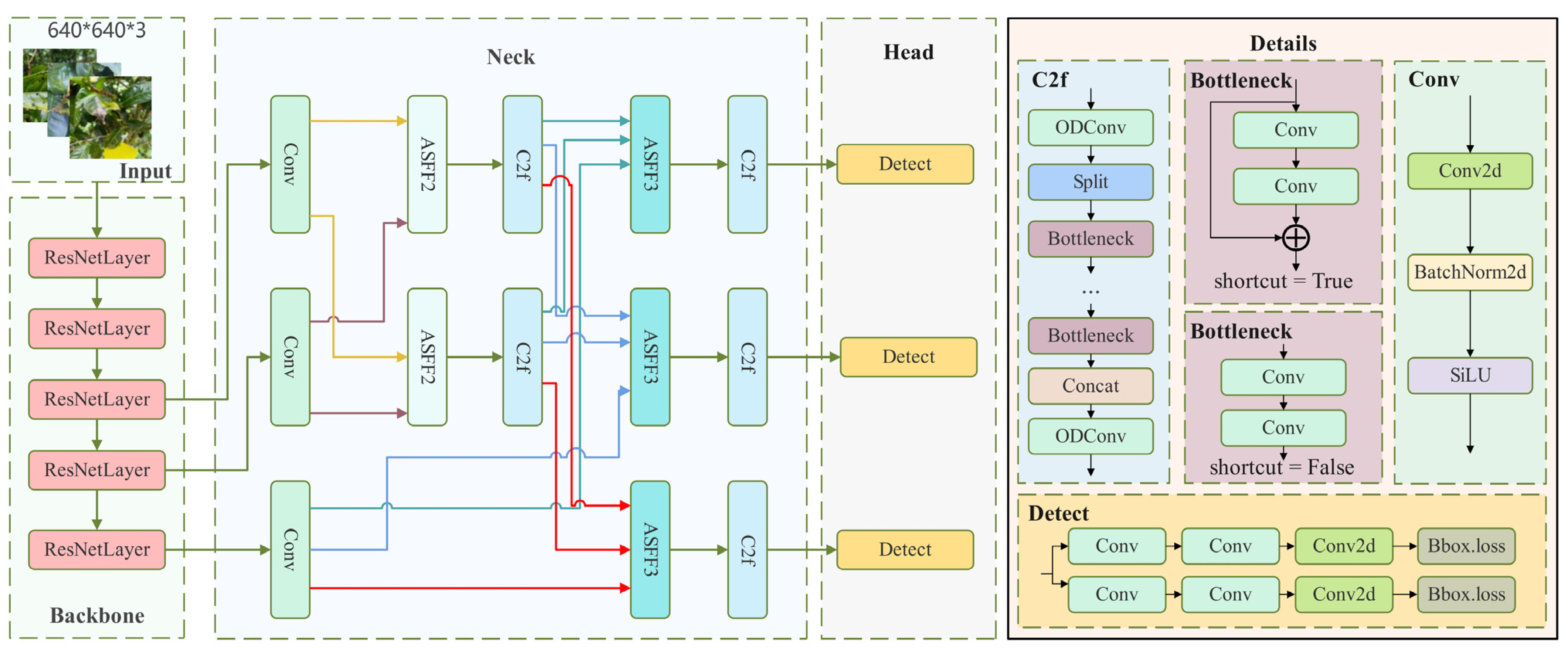 Plants 13 01377 g006