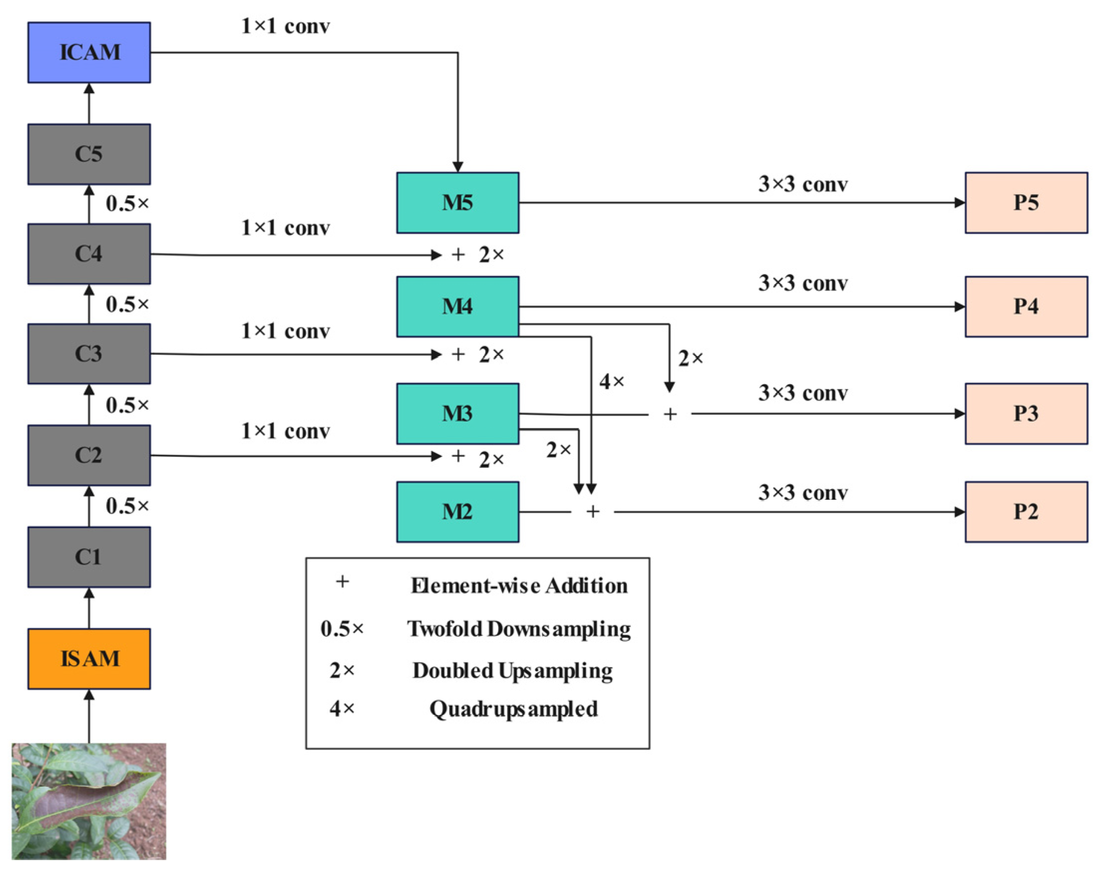 Plants 13 01377 g007
