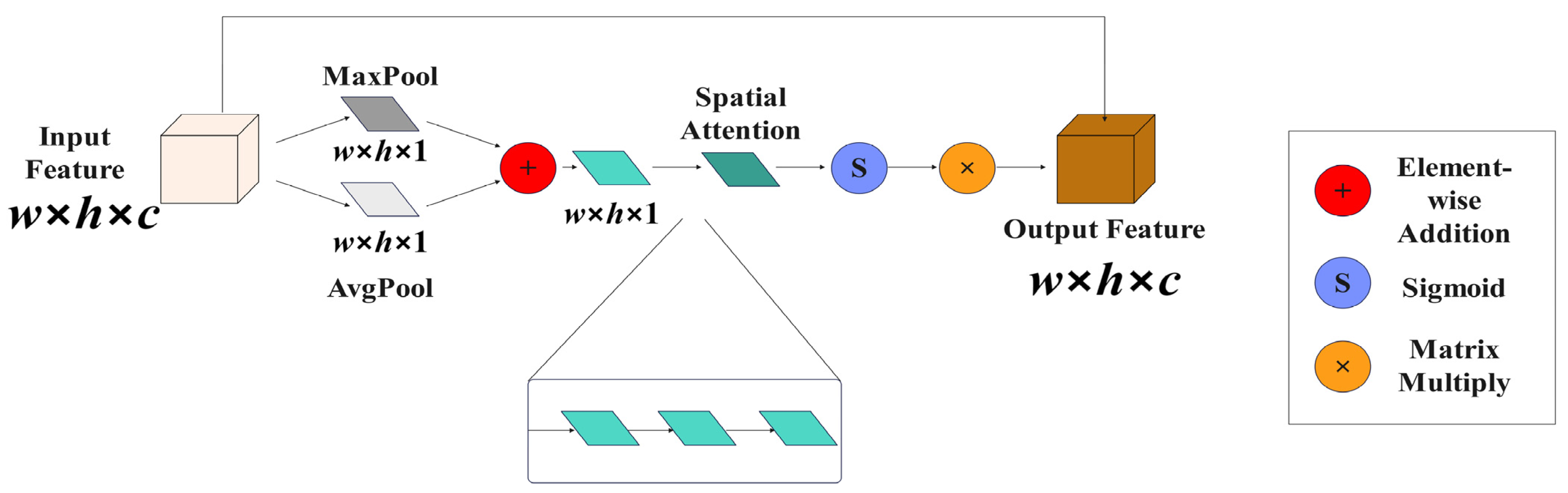 Plants 13 01377 g008
