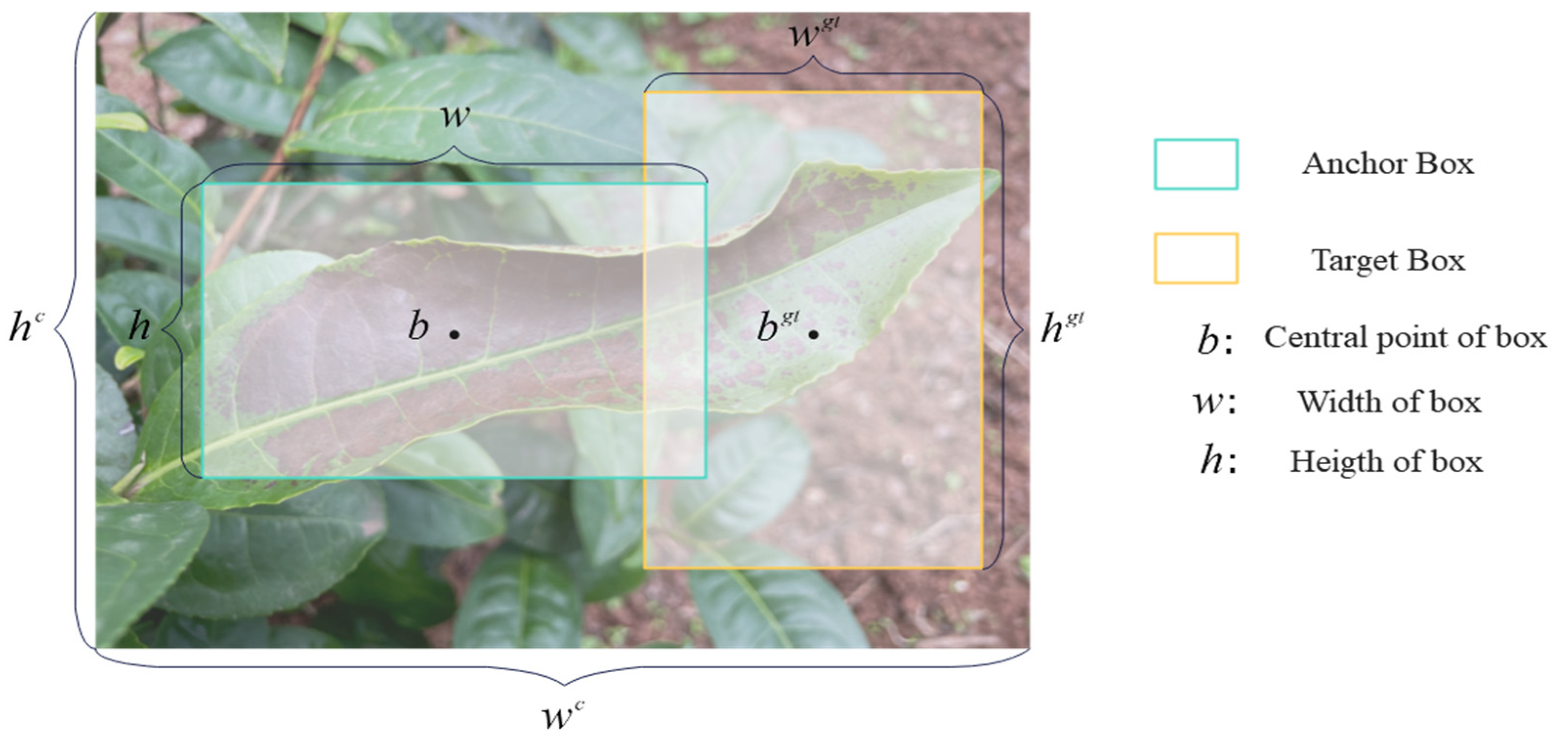 Plants 13 01377 g016