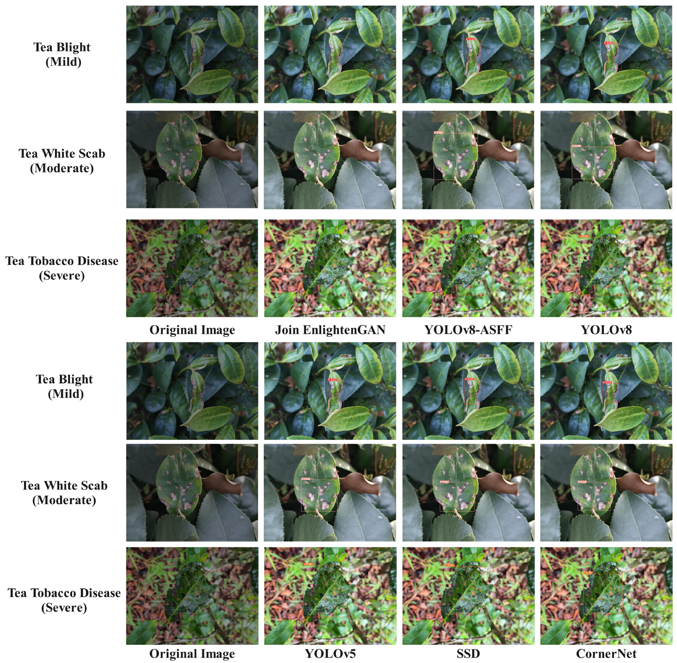 Plants 13 01377 g020