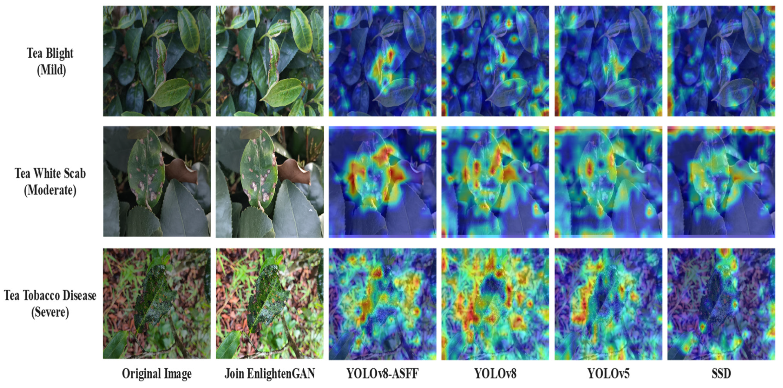 Plants 13 01377 g021