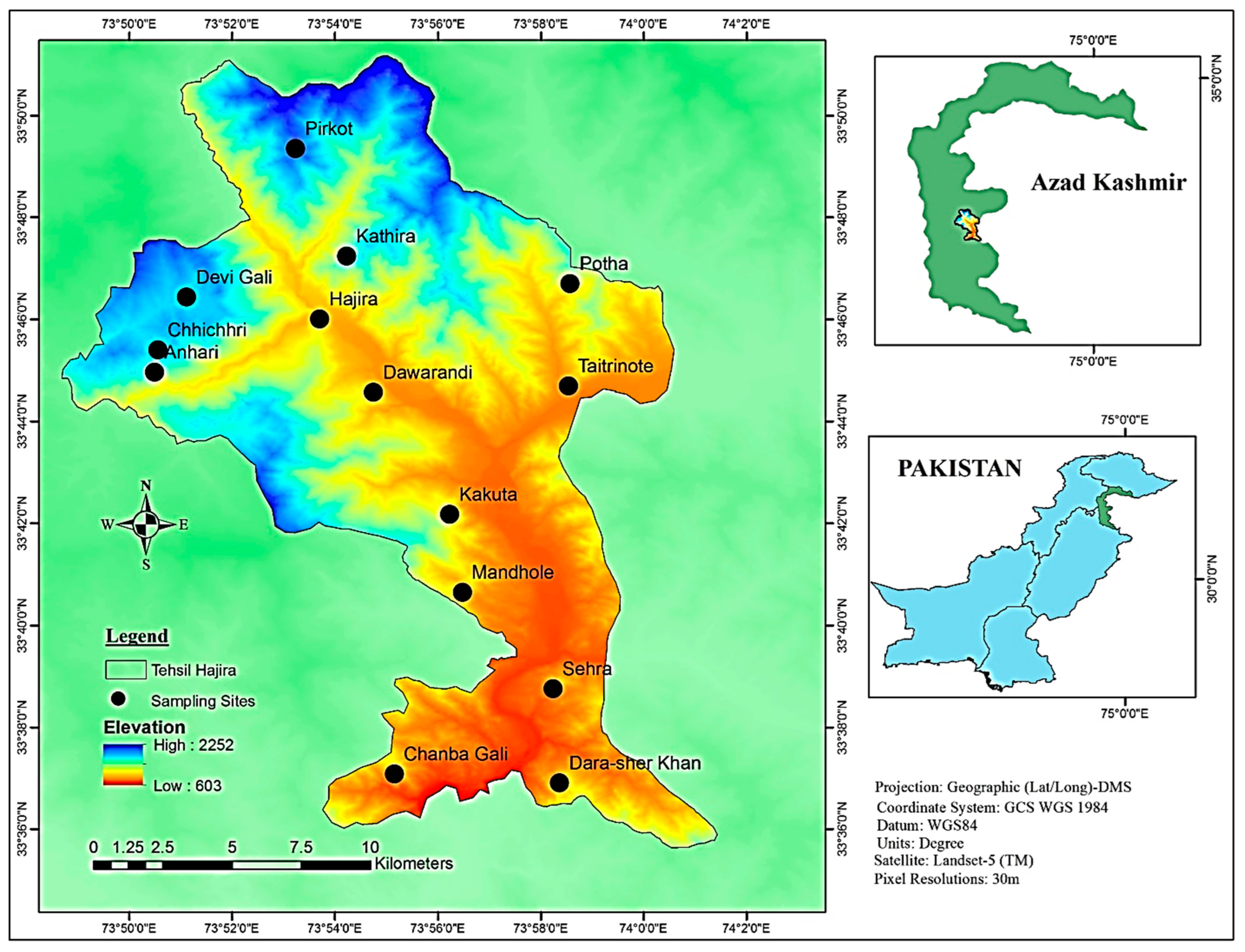 Plants 13 01379 g008