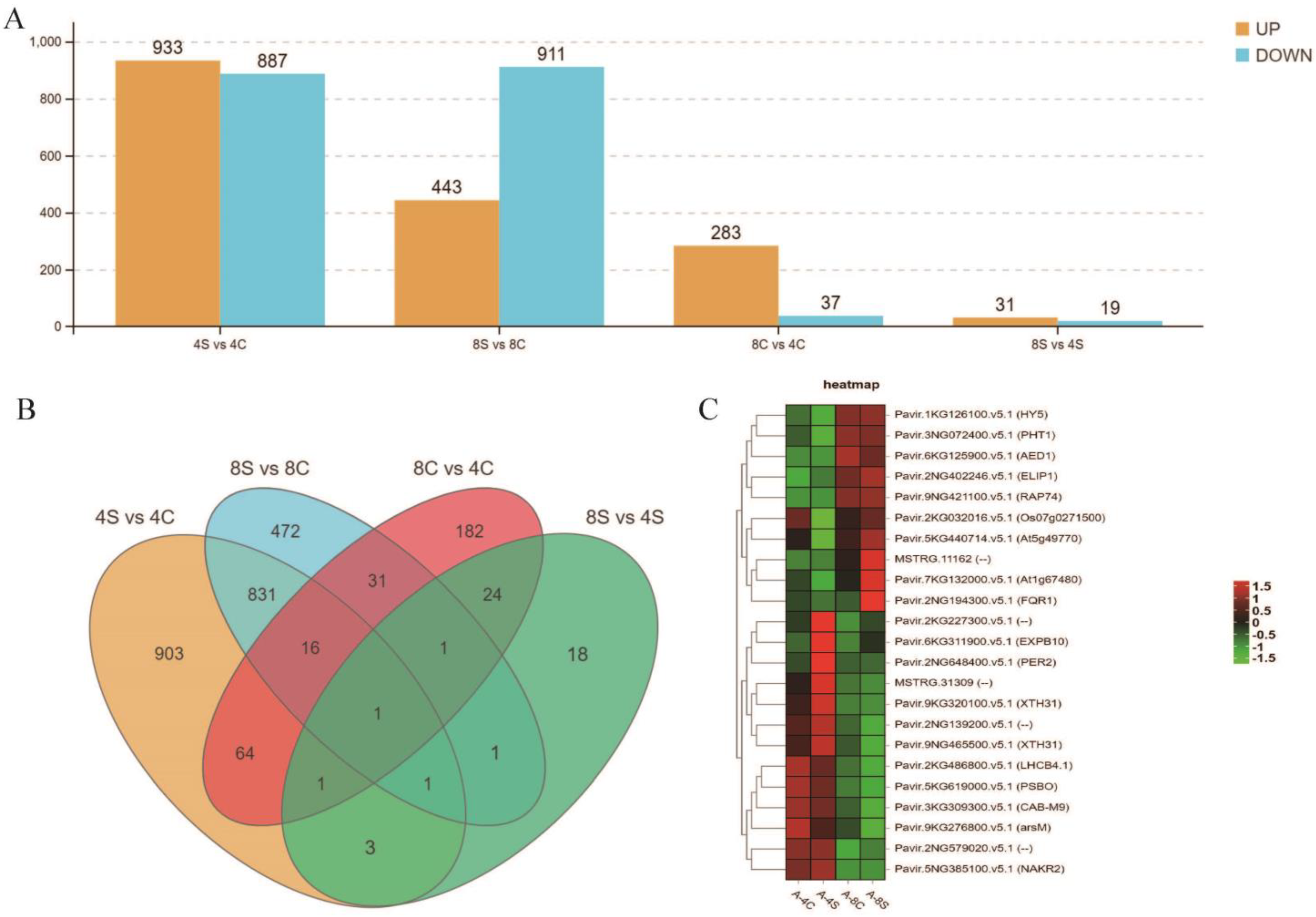 Plants 13 01383 g003