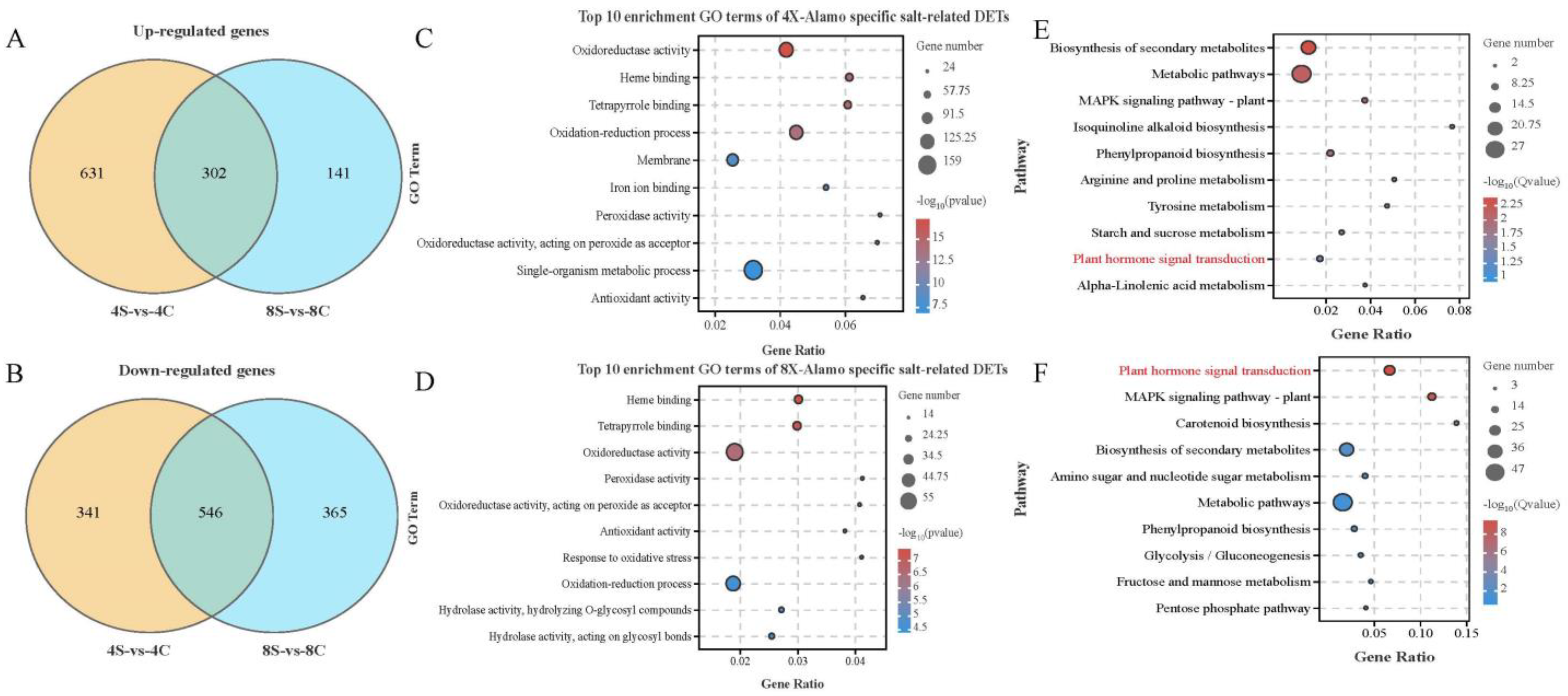 Plants 13 01383 g004