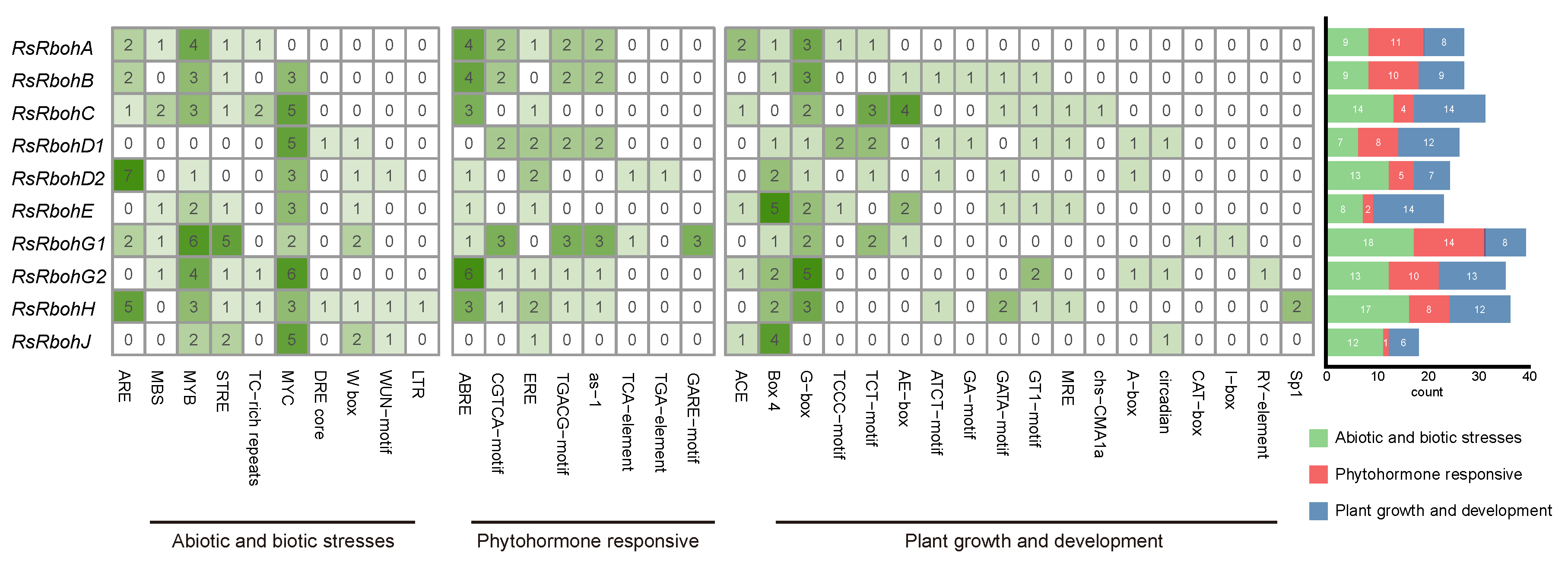 Plants 13 01386 g005