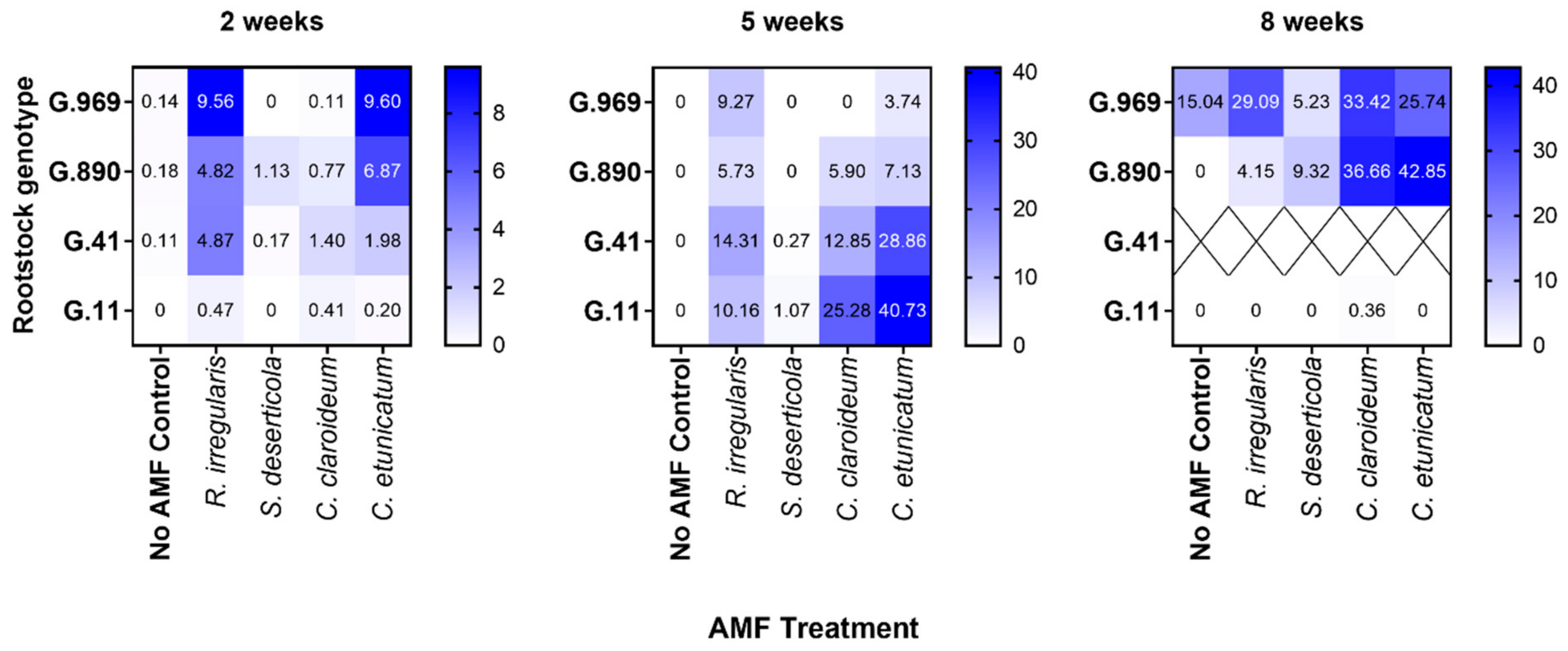 Plants 13 01388 g002