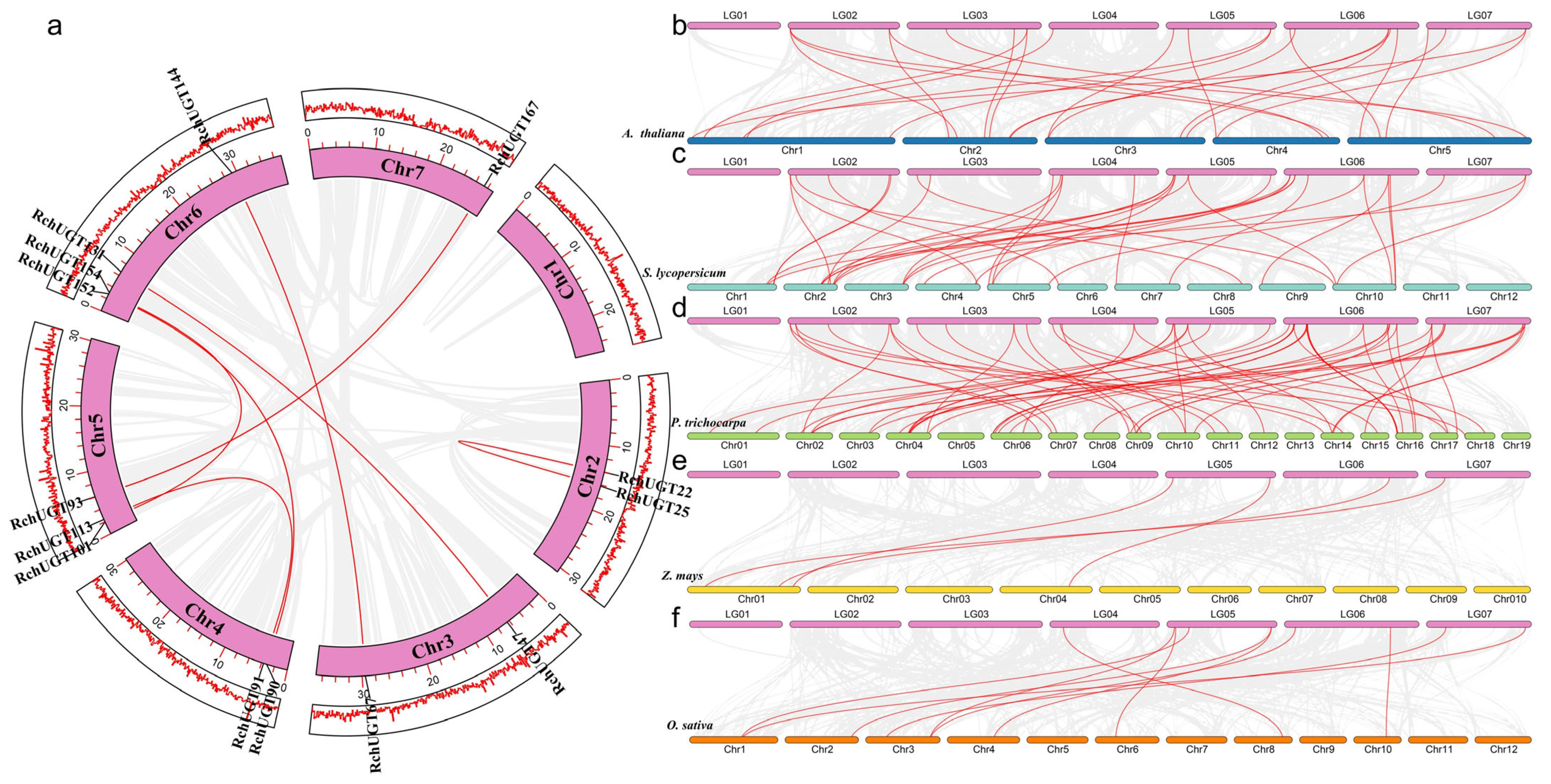 Plants 13 01390 g003
