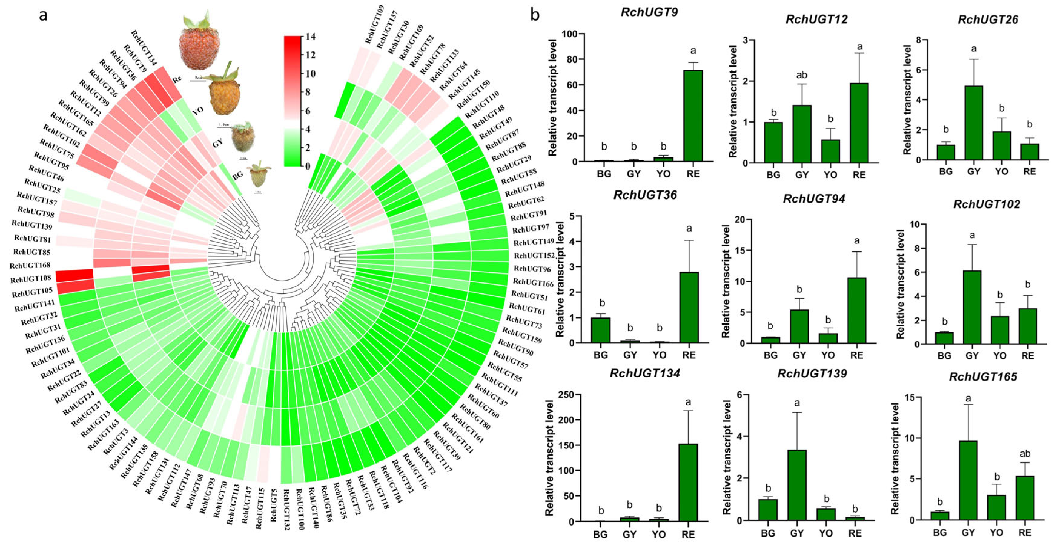 Plants 13 01390 g005
