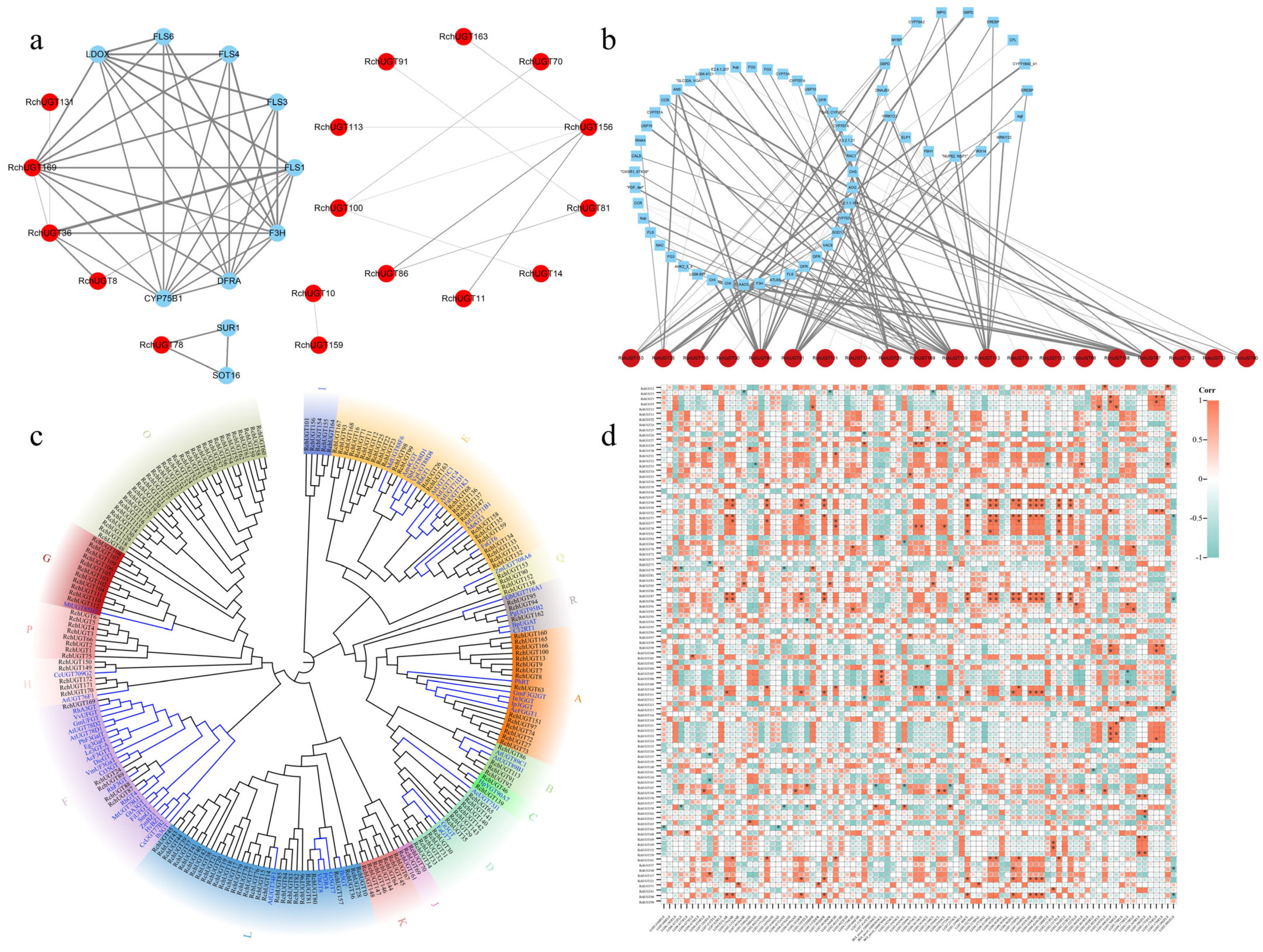 Plants 13 01390 g006