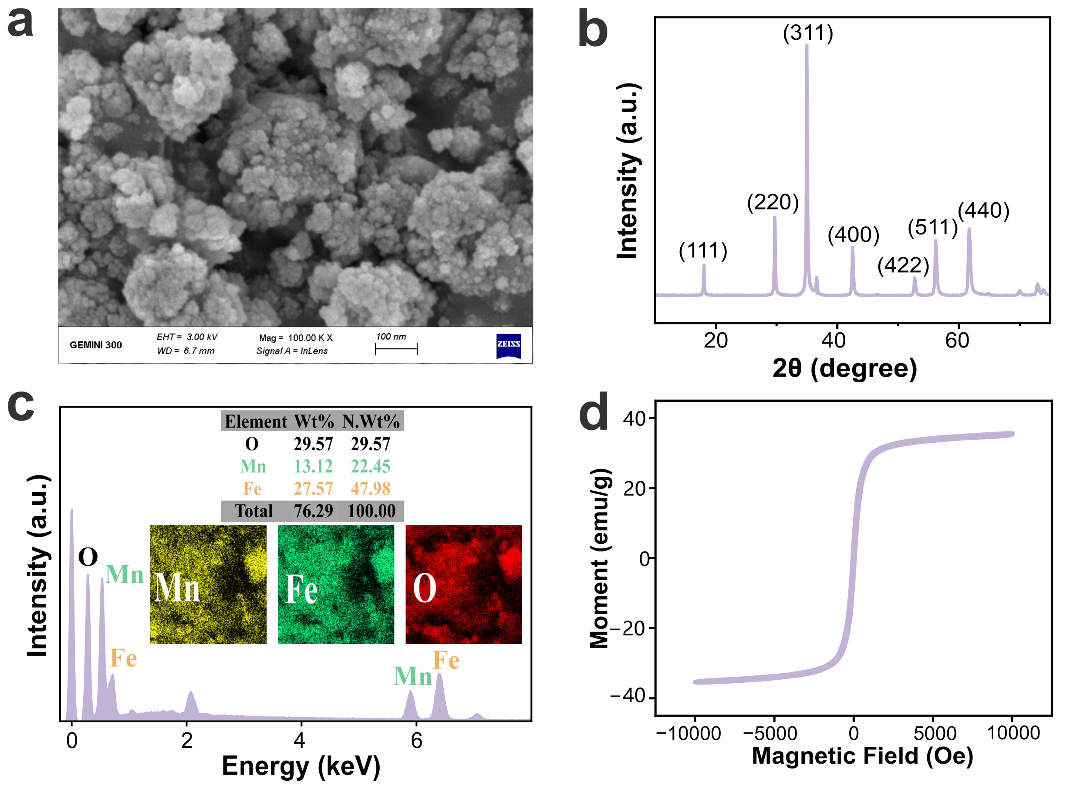Plants 13 01395 g001