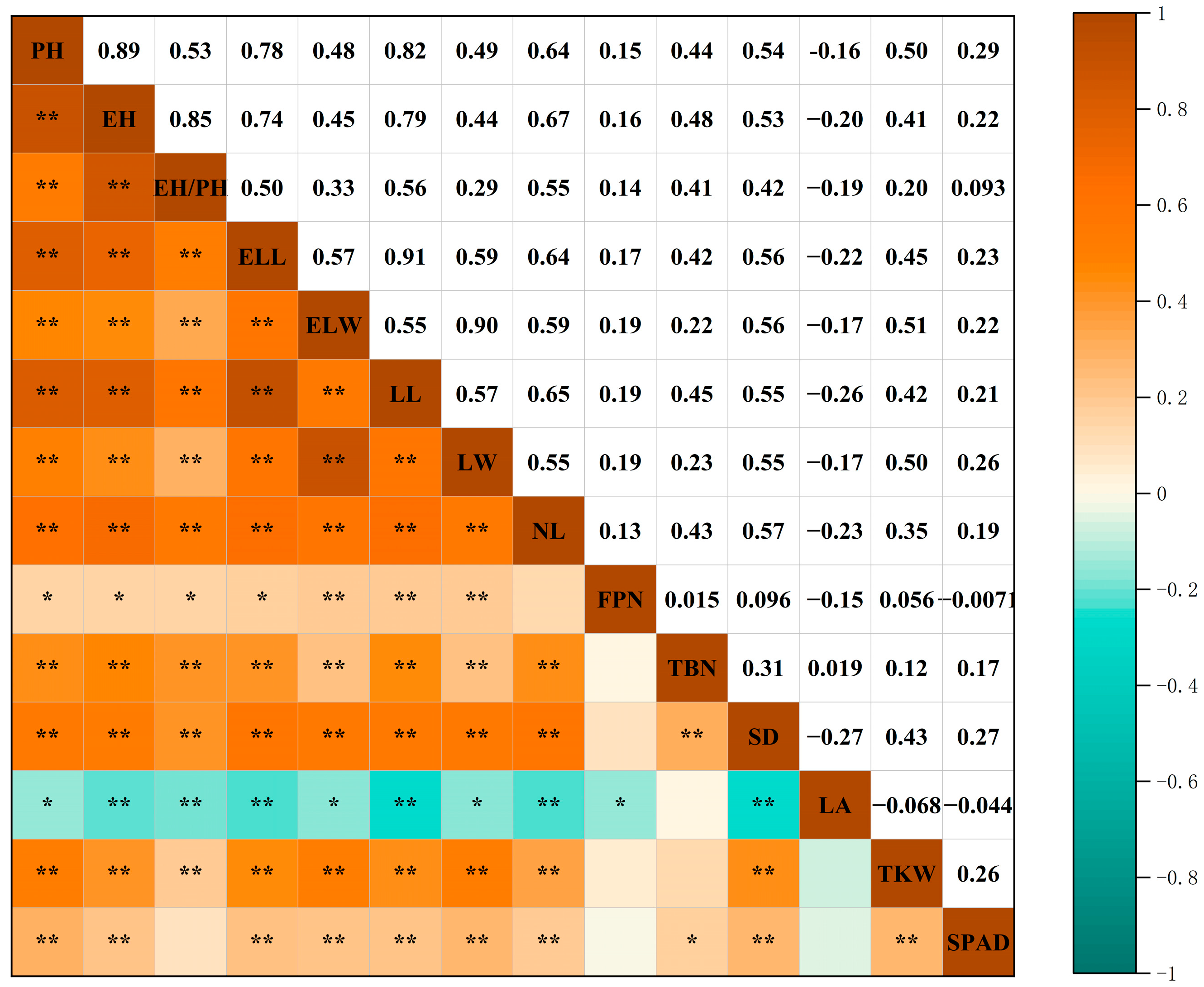 Plants 13 01397 g002