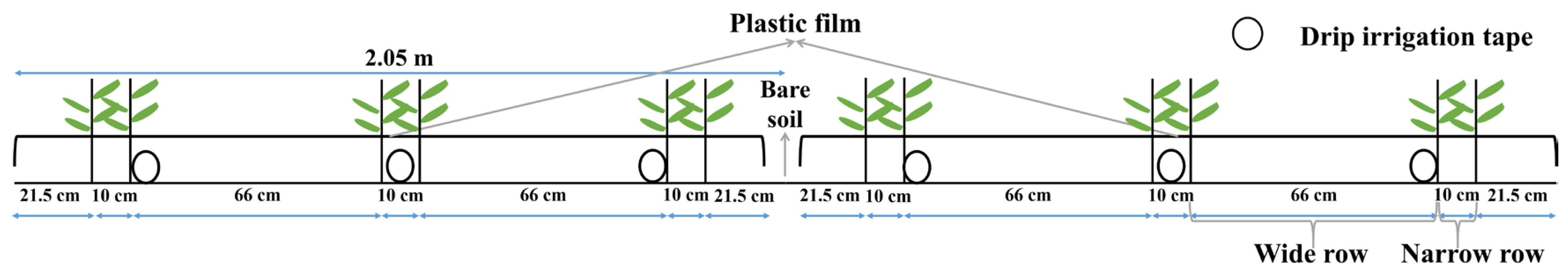 Plants 13 01403 g002