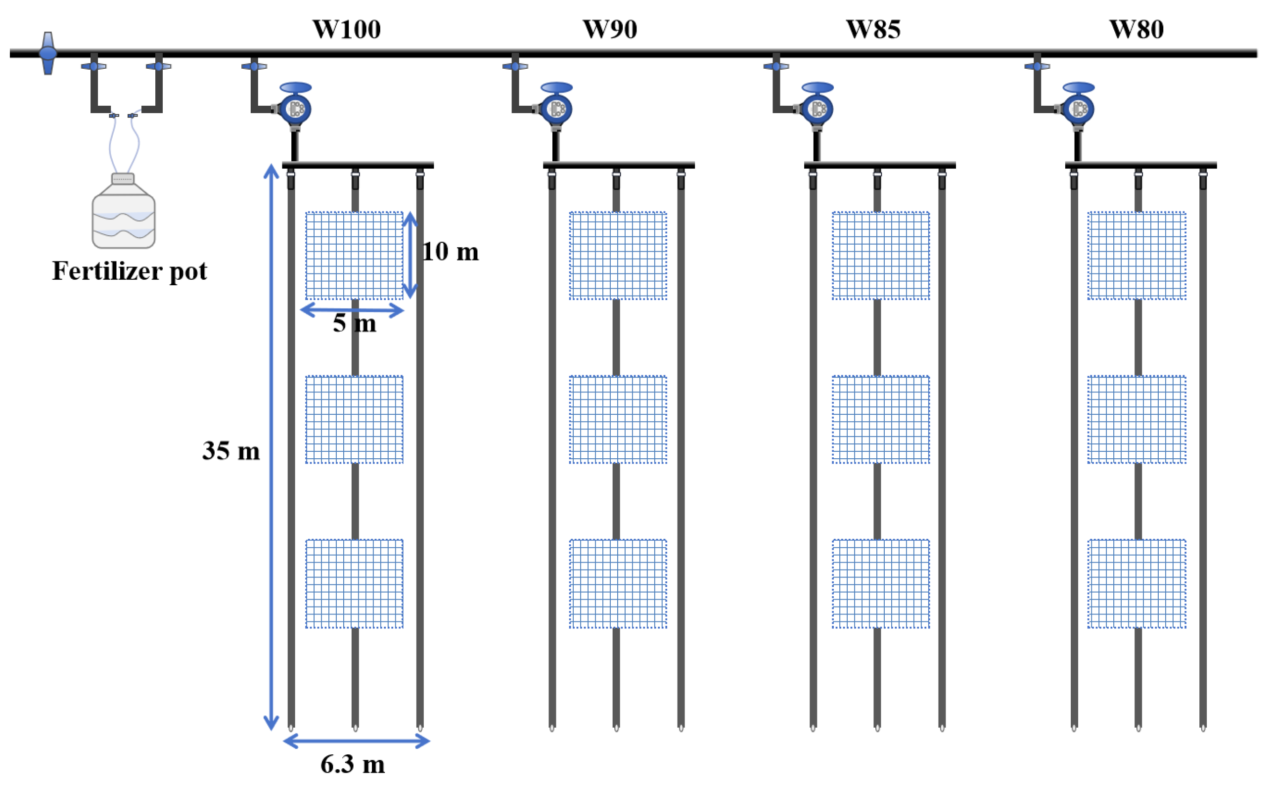 Plants 13 01403 g003