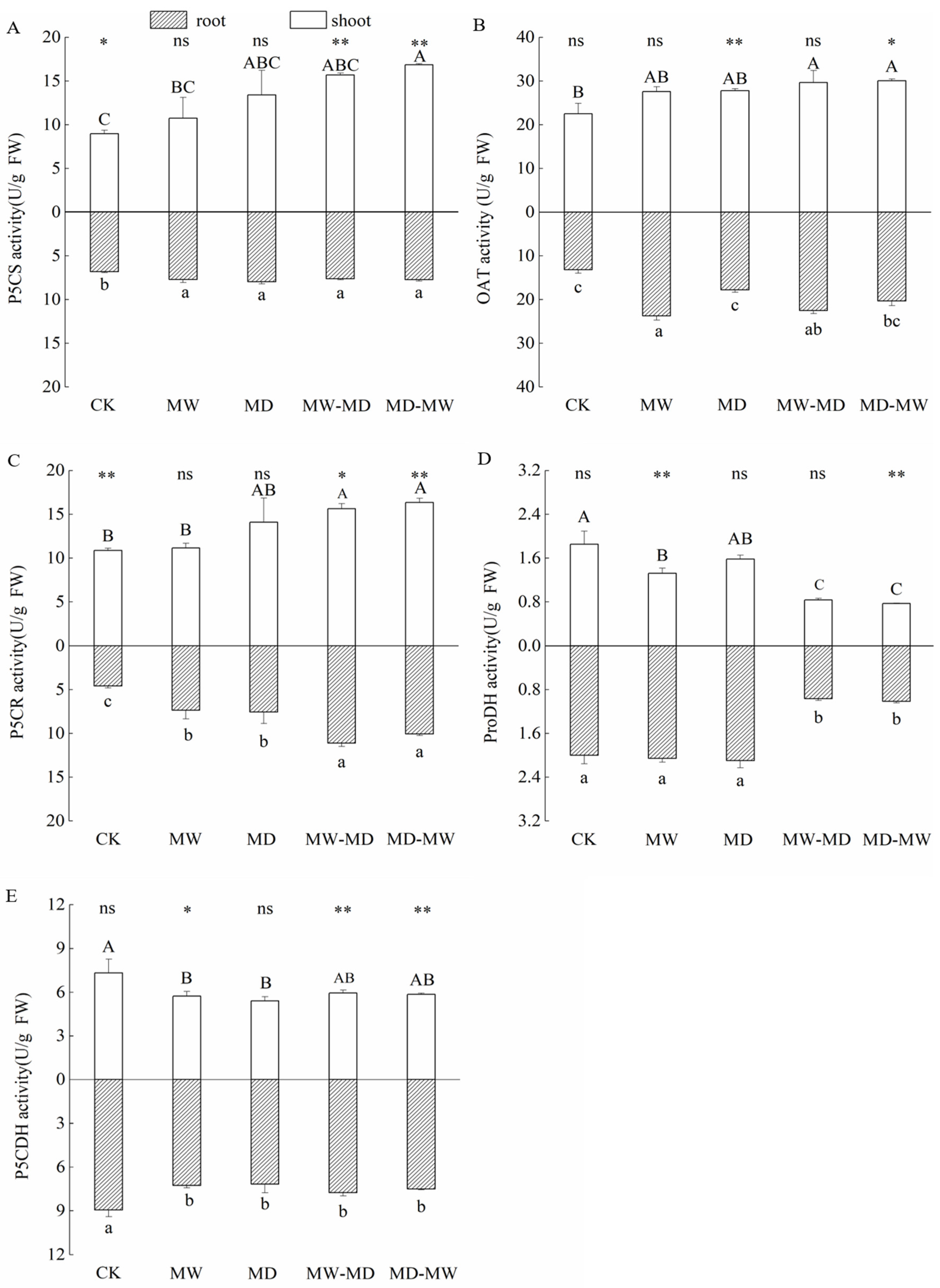 Plants 13 01408 g004