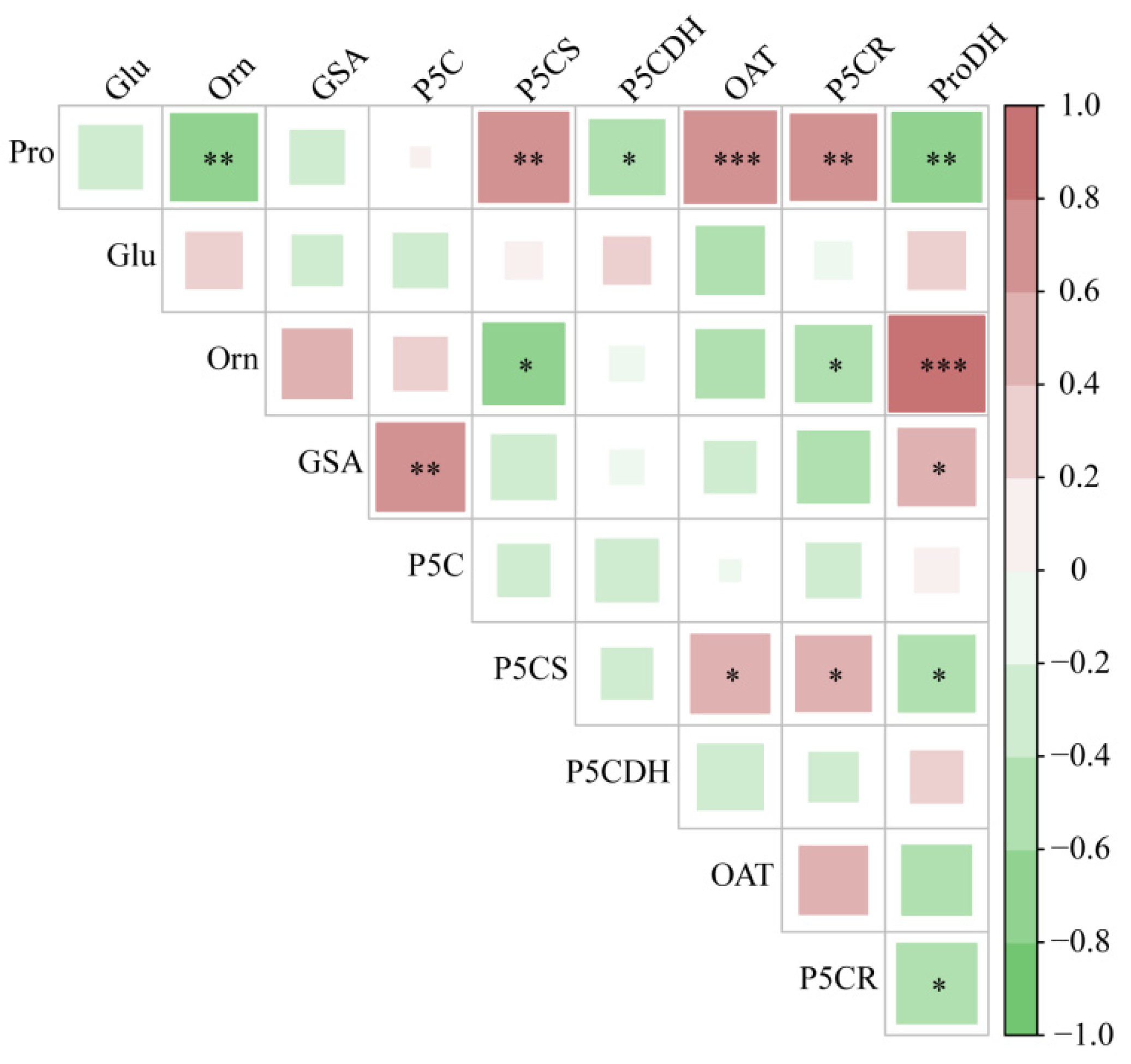 Plants 13 01408 g005
