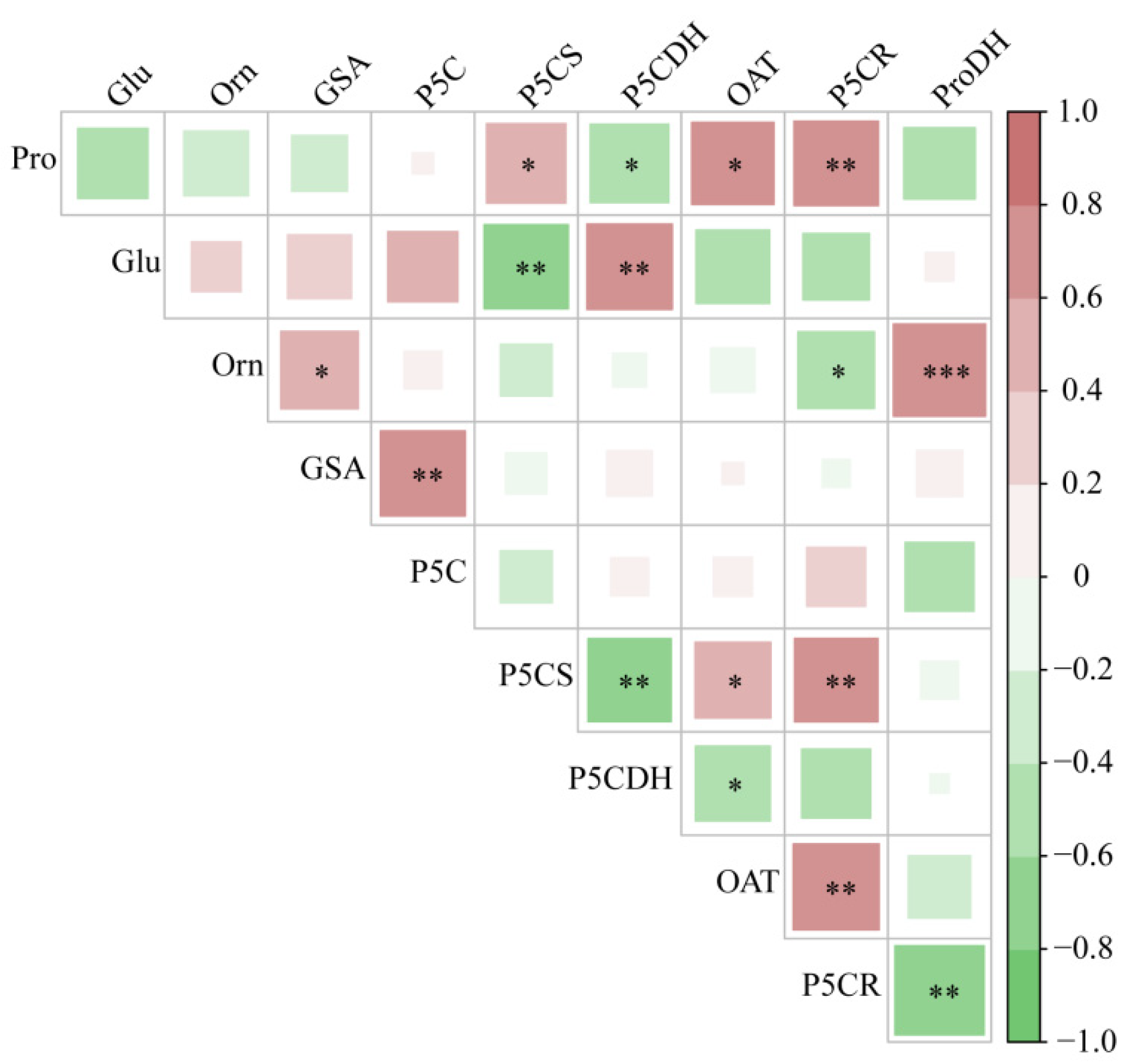Plants 13 01408 g006