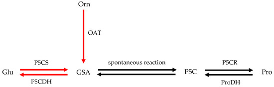 Plants 13 01408 g0a1