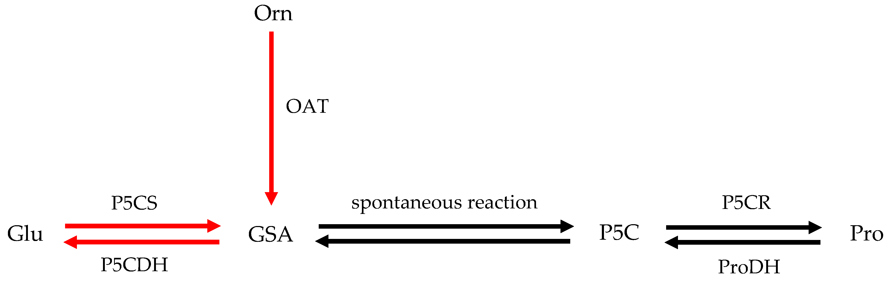 Plants 13 01408 g0a1