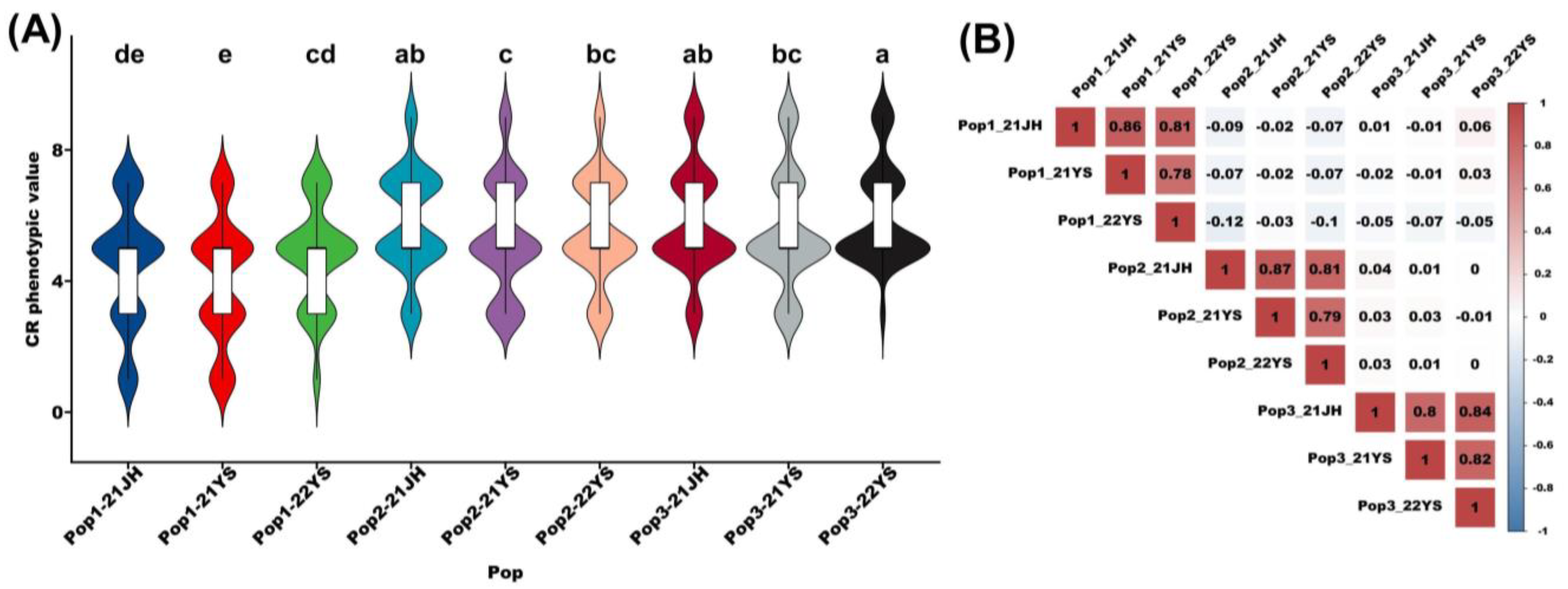 Plants 13 01410 g001